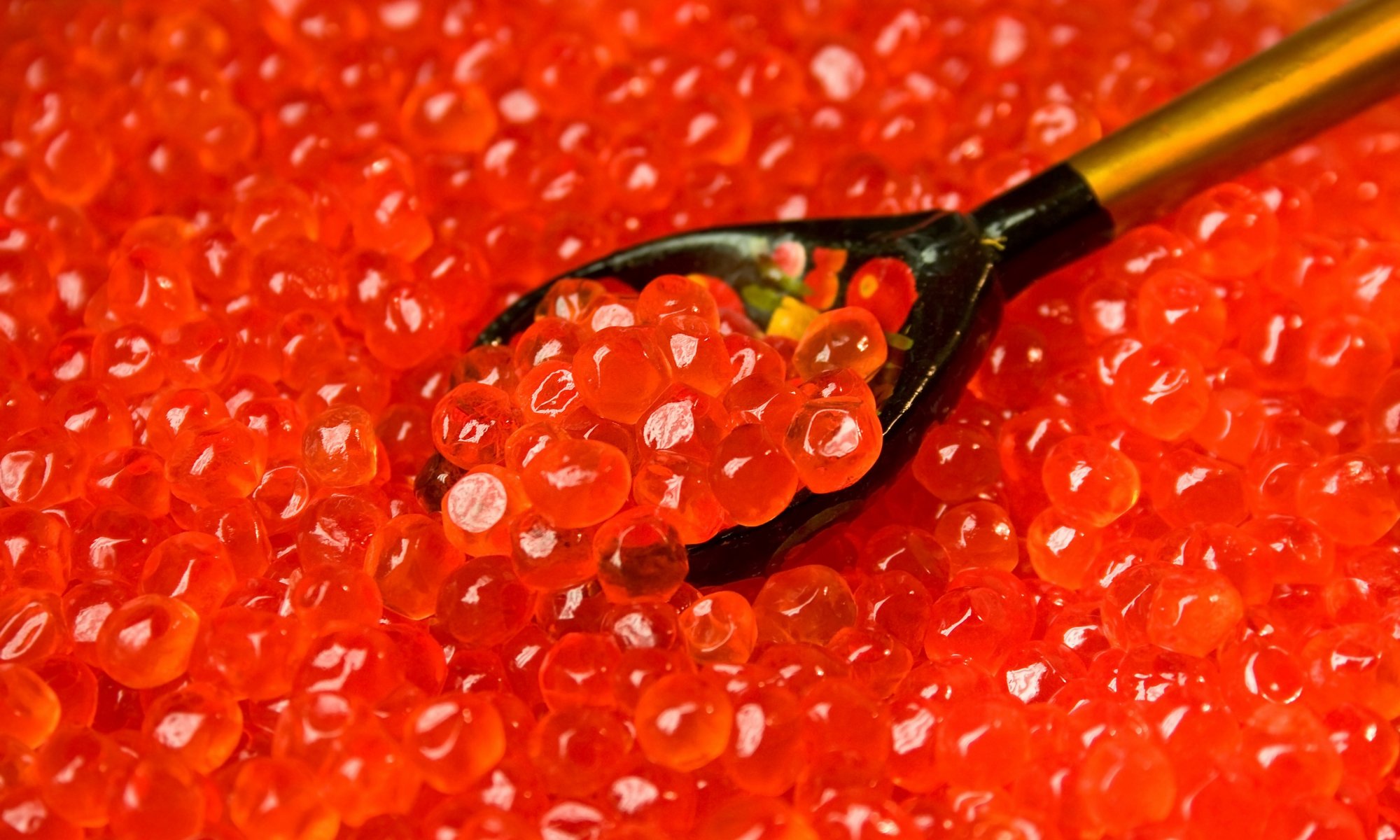 caviar red grain salmon spoon