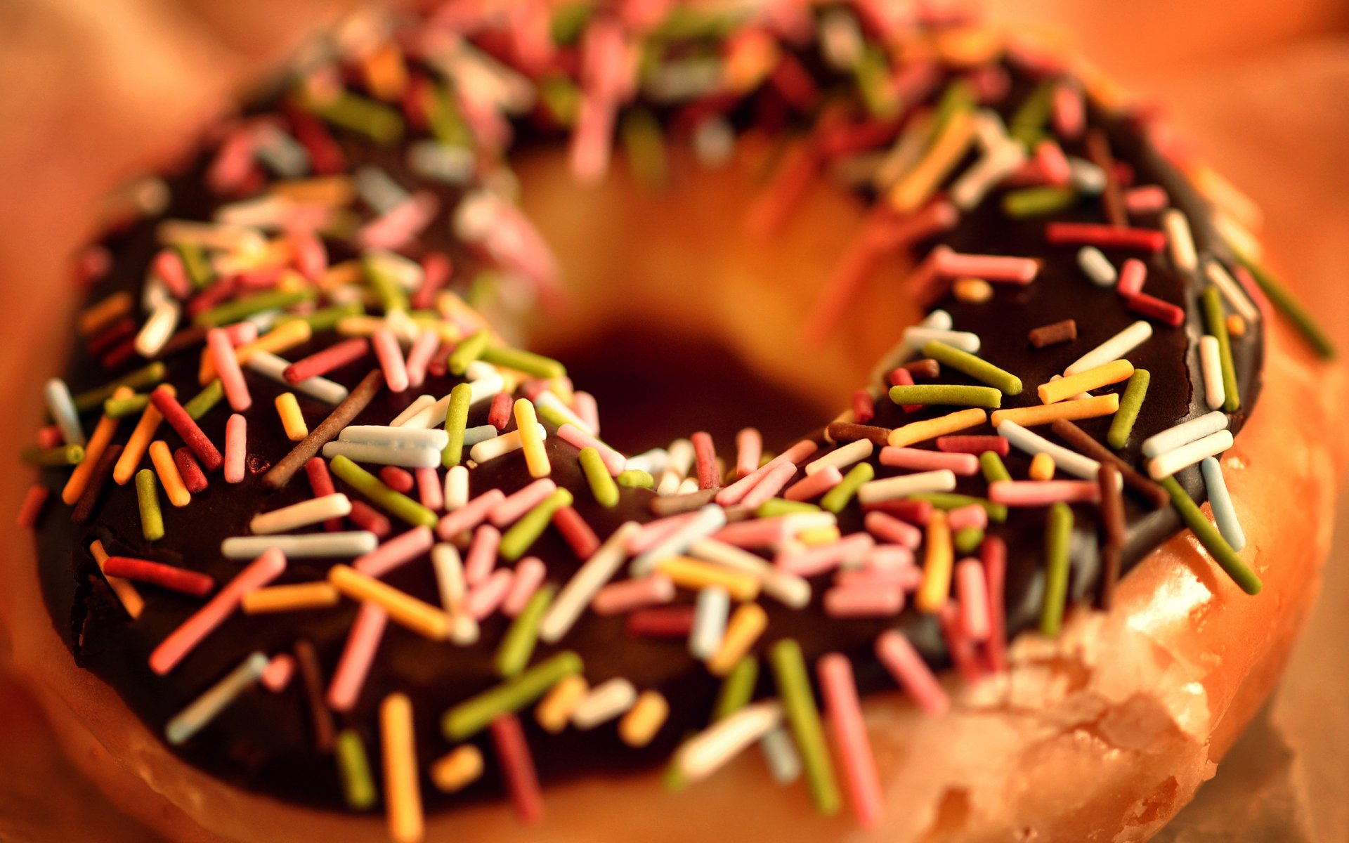 close up macro donut food chocolate babe sweet dessert