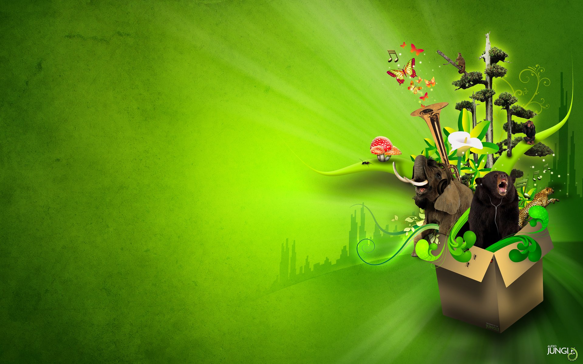 music audio jungle audio jungle inscription words letters logo animals bear elephant tusks butterfly leopard box mushrooms tree flower calla green background green