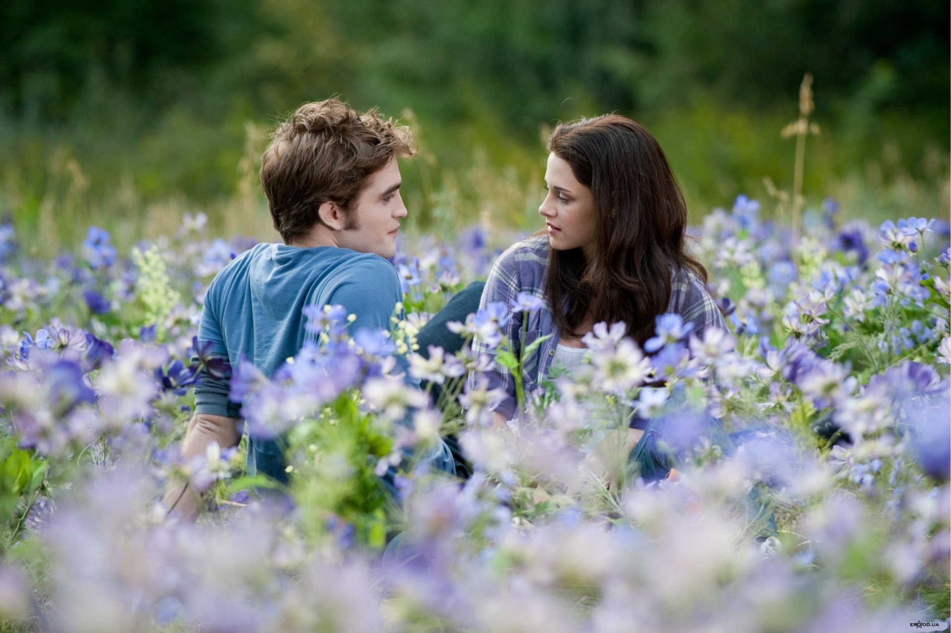 twilight edward cullen bell isabella swan bella swan edward cullen kristen stewart robertt pattinson robert pattinson flowers eclipse the field flower saga two