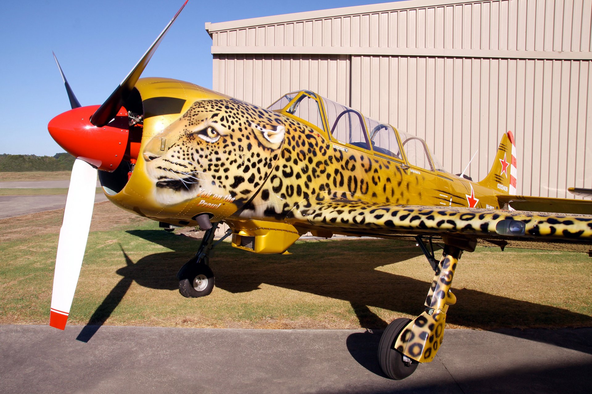 military historical club plane yak- 52 yak-52 soviet russia sports training double all-metal monoplane low-lying cantilever wing airbrush leopard airshow private collection retro .