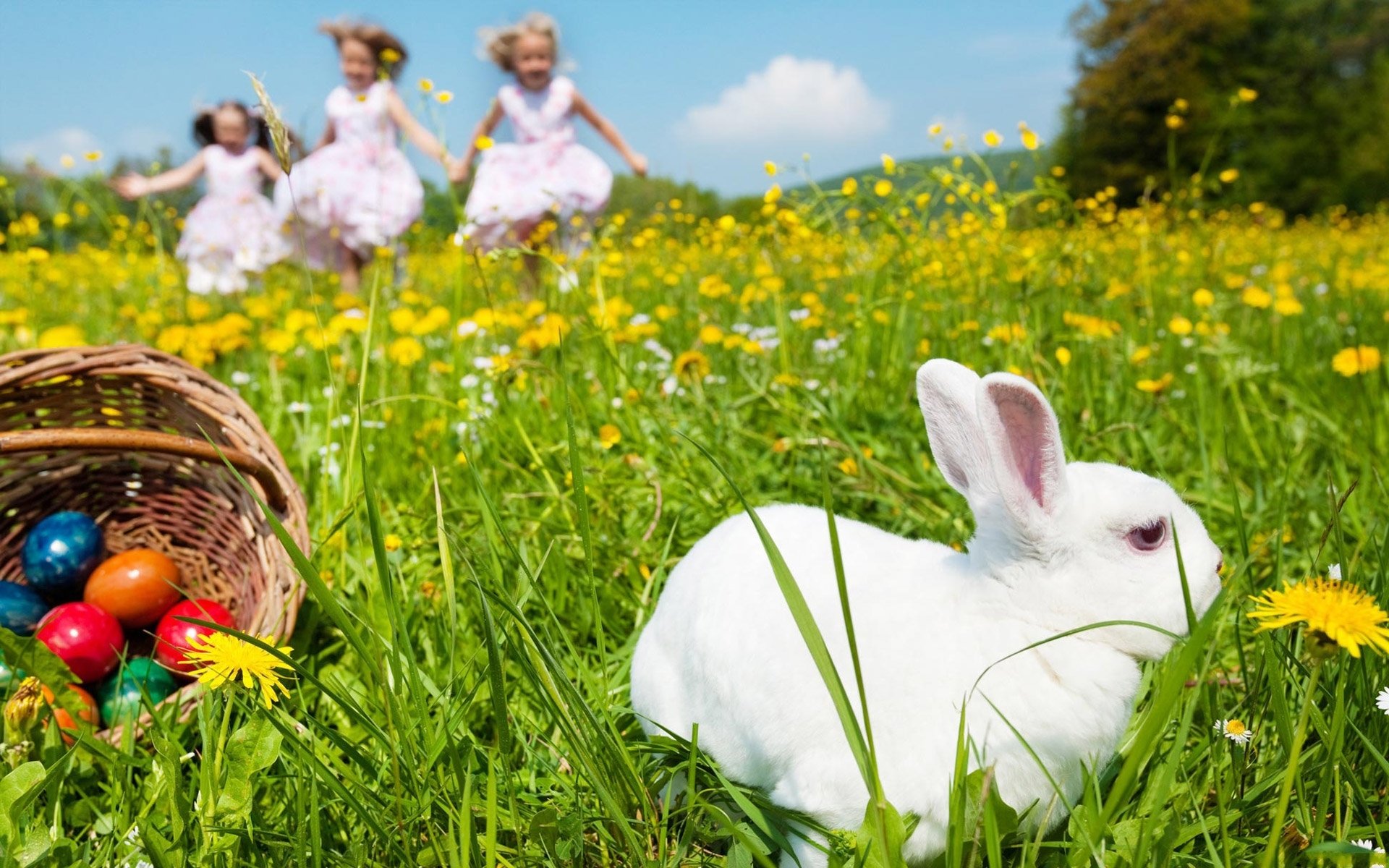 white rabbit basket shopping colored eggs easter field dandelions trio girls dresses mood flower spring sky clouds happiness emotions