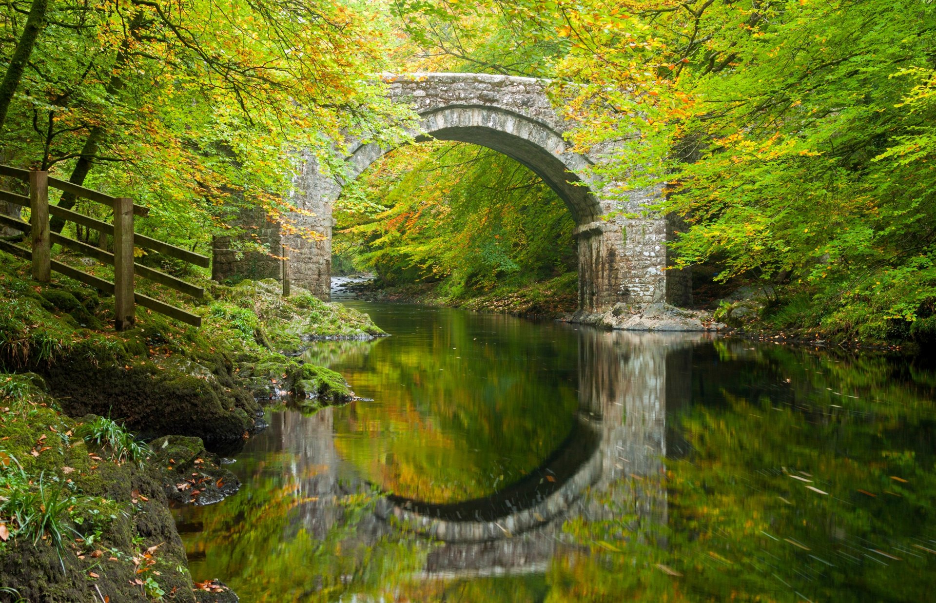 holne bridge river dart dartmoor devon england holn bridge bridge arch river reflection forest tree autumn