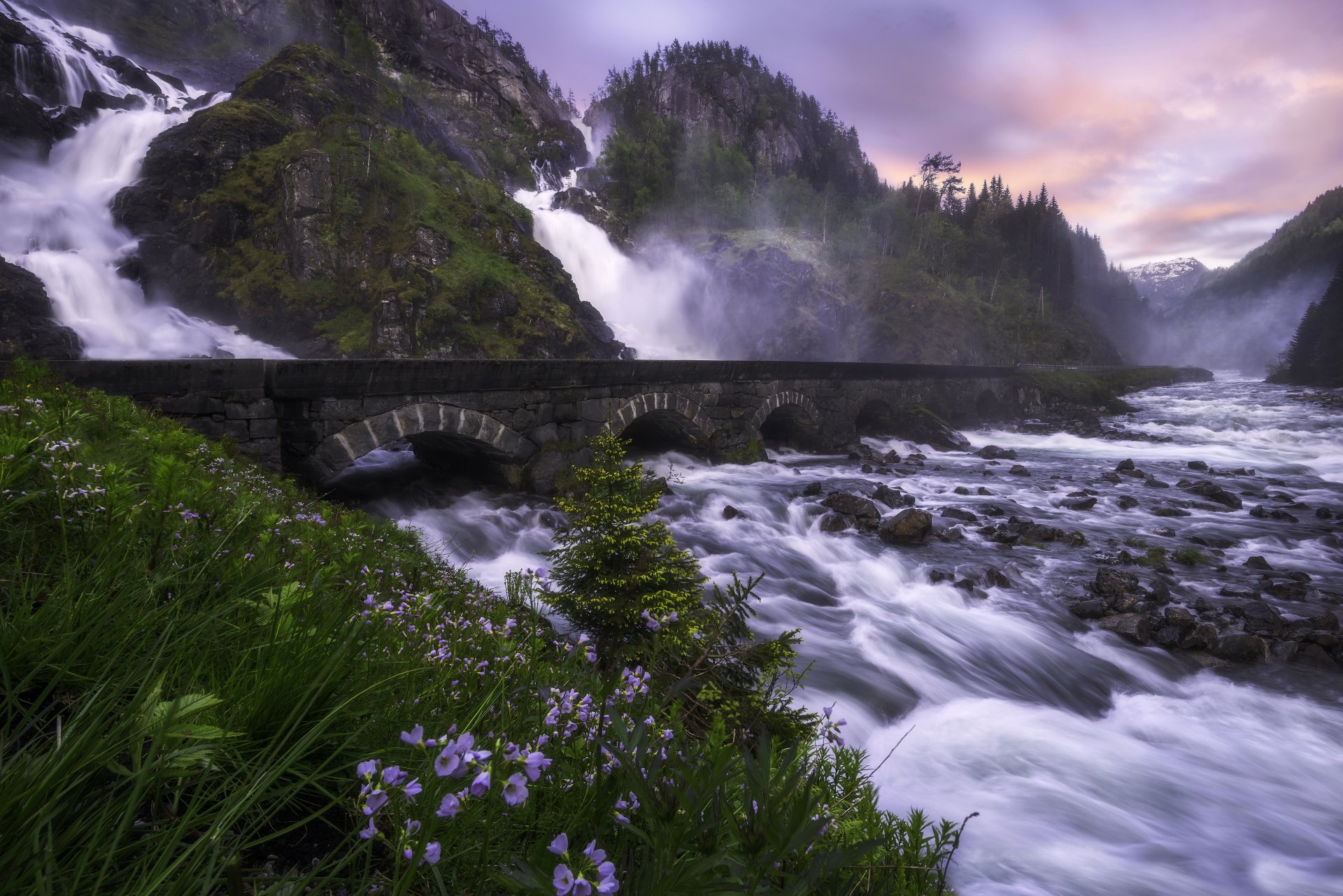 latefossen odda norway låtefossen odd waterfall stage river bridge rock mountain stones flower