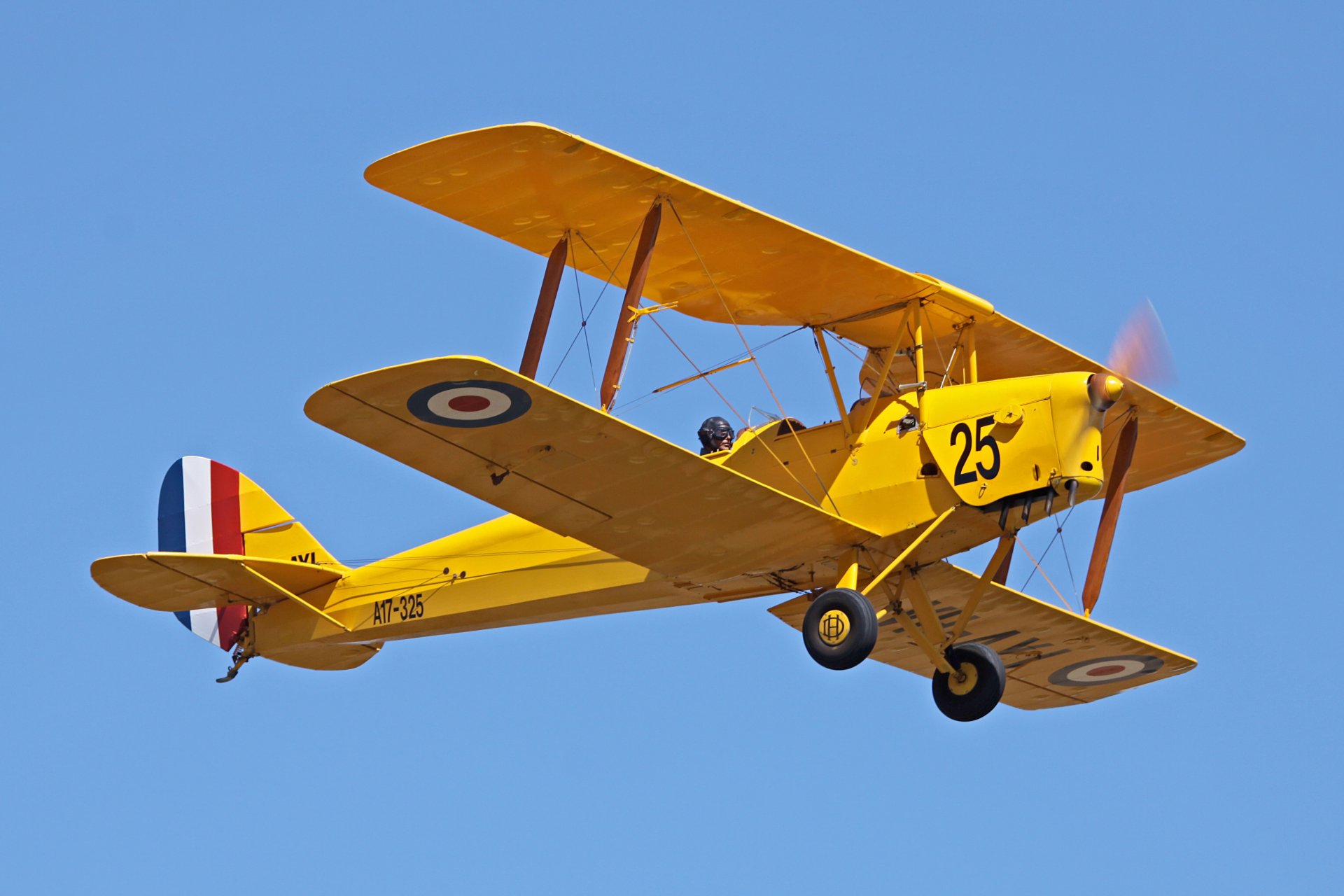 military historical club plane tiger moth biplane served major training by plane royal air force great britain developer de havilland de hevilend 1930 -1952gg . airshow private collection retro .