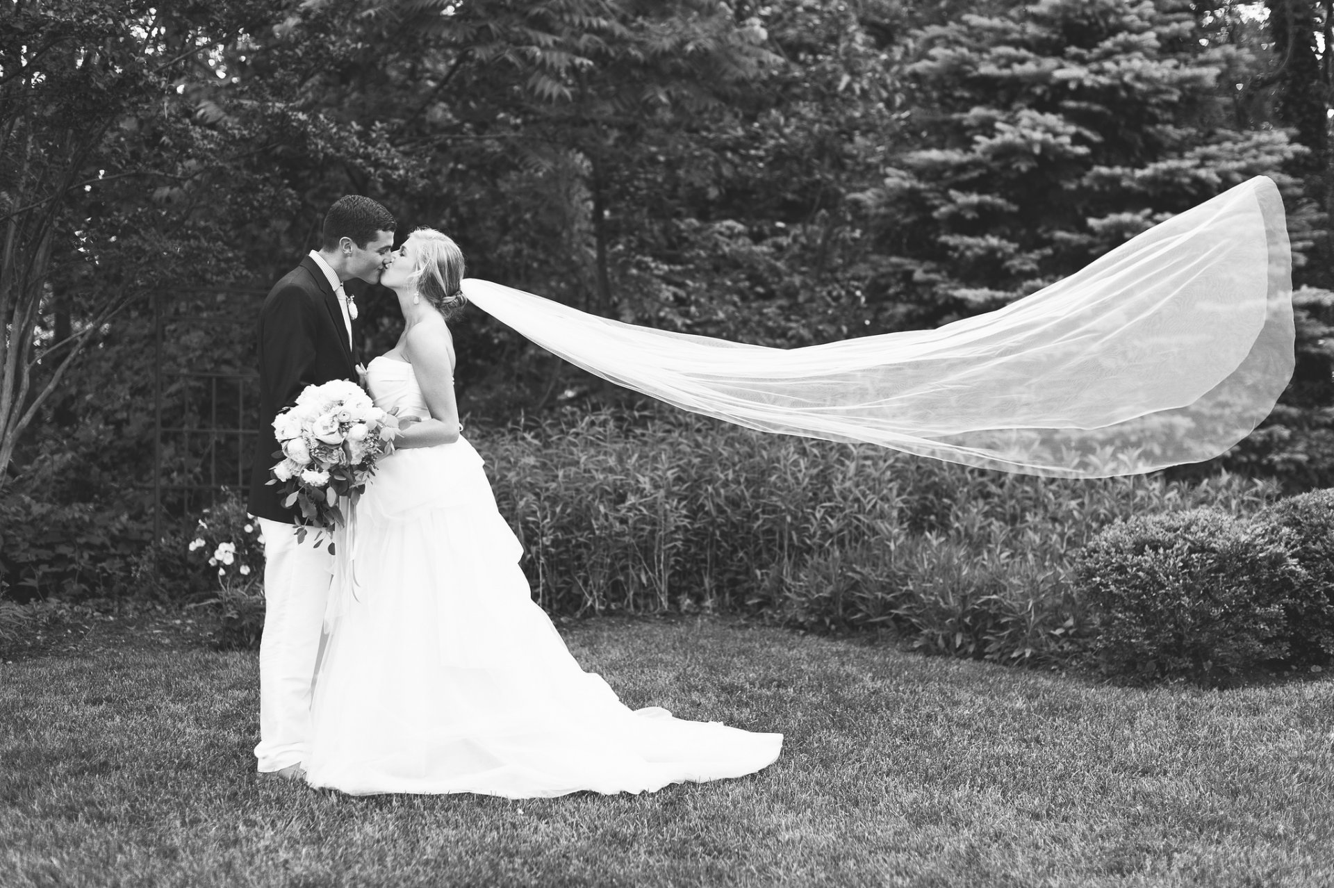 bride groom dress suit kiss love veil grass two feeling