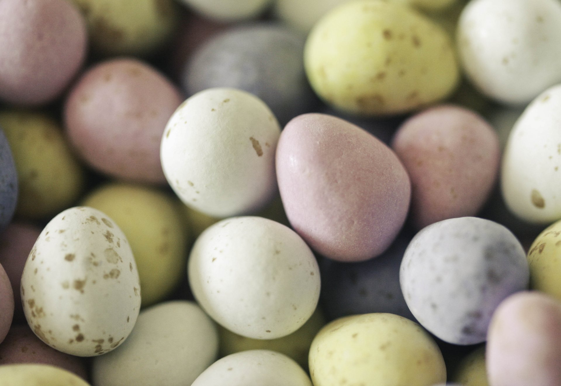 happy easter easter eggs