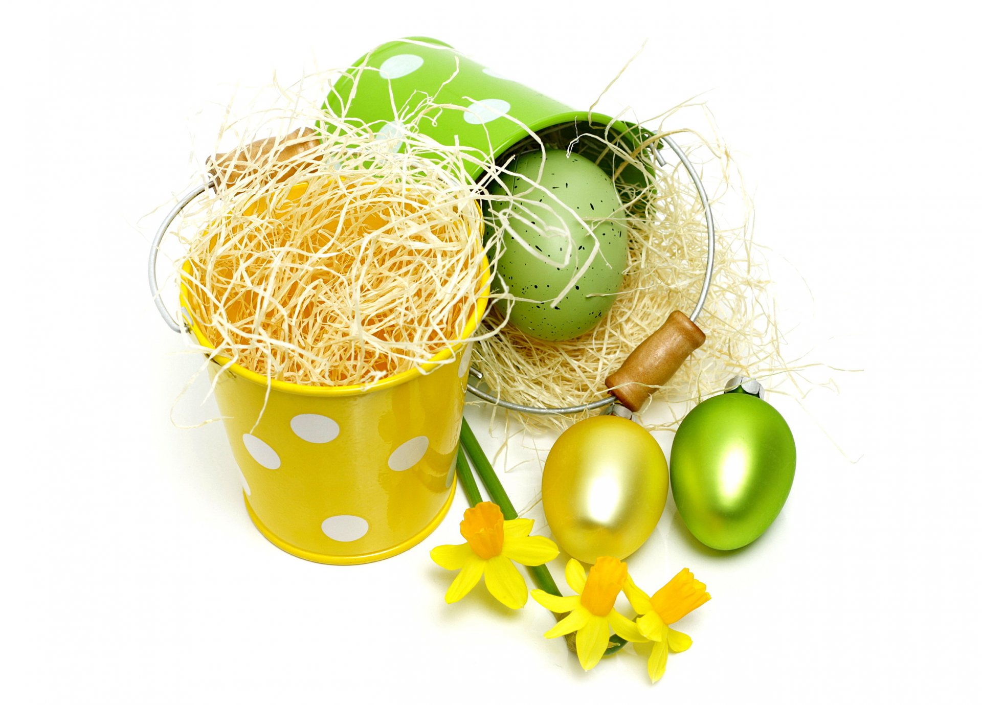 easter eggs daffodils flowers painted