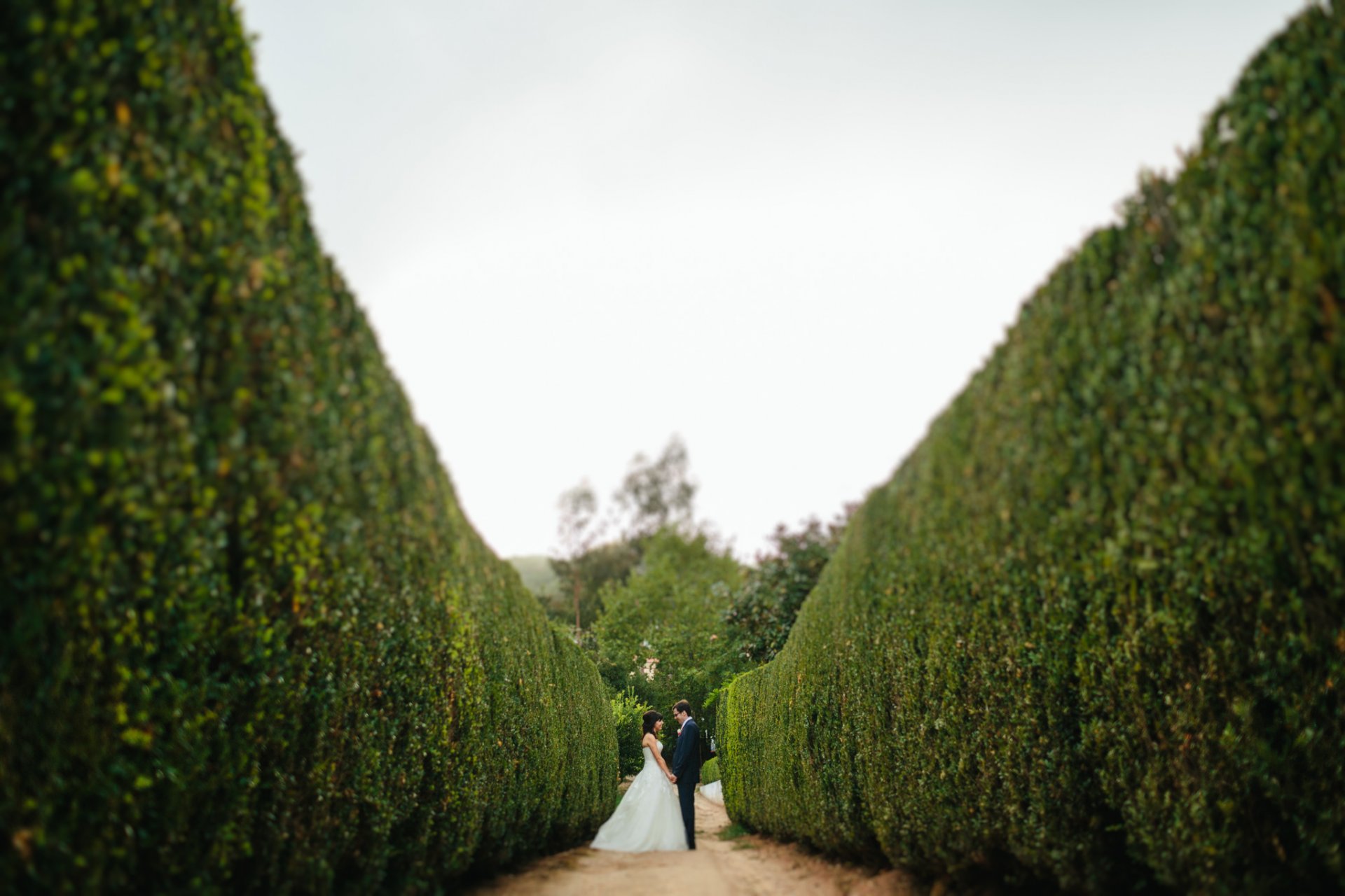groom bride suit dress love