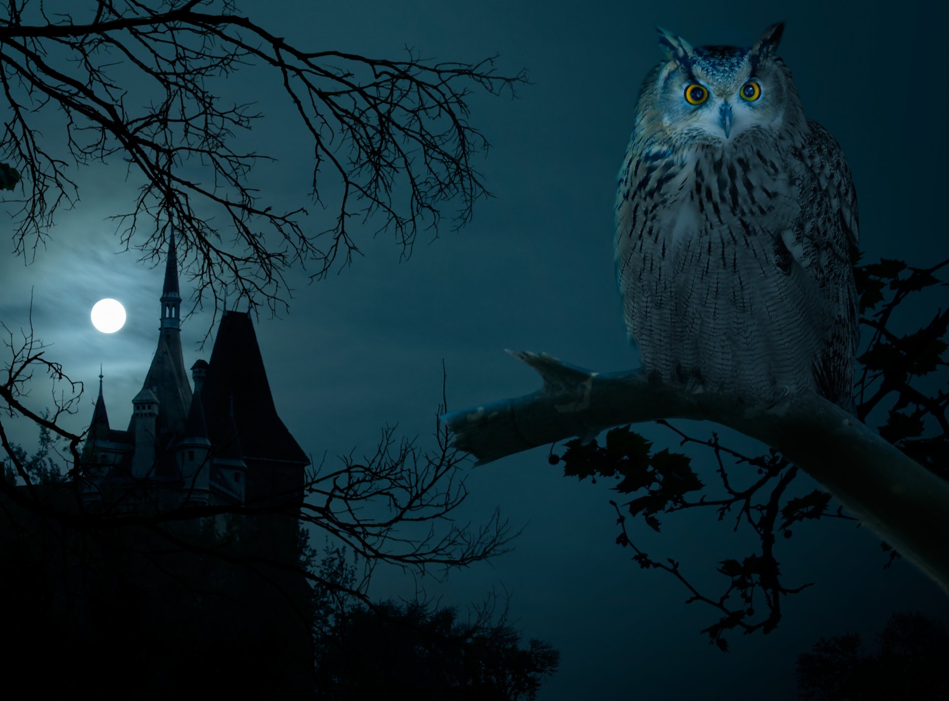 halloween night owl hounted house dark moon castle full moon