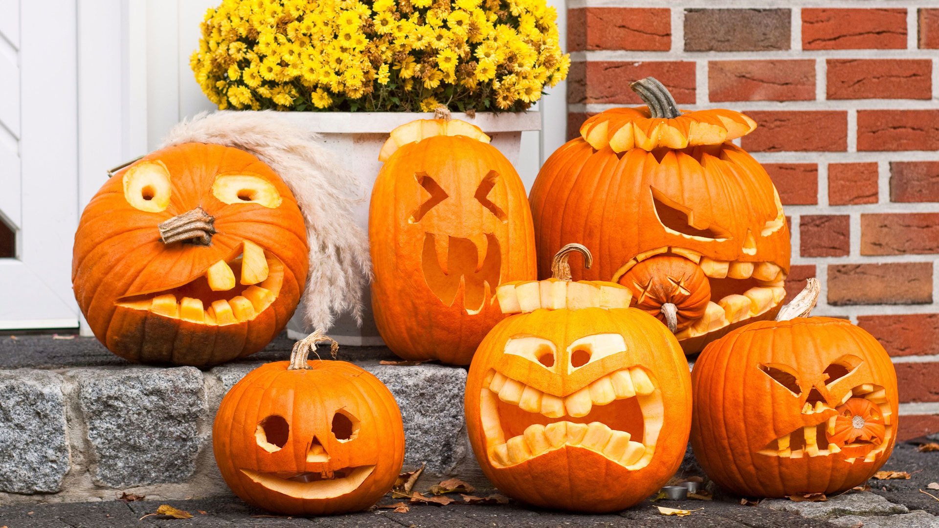 halloween holiday pumpkin mood