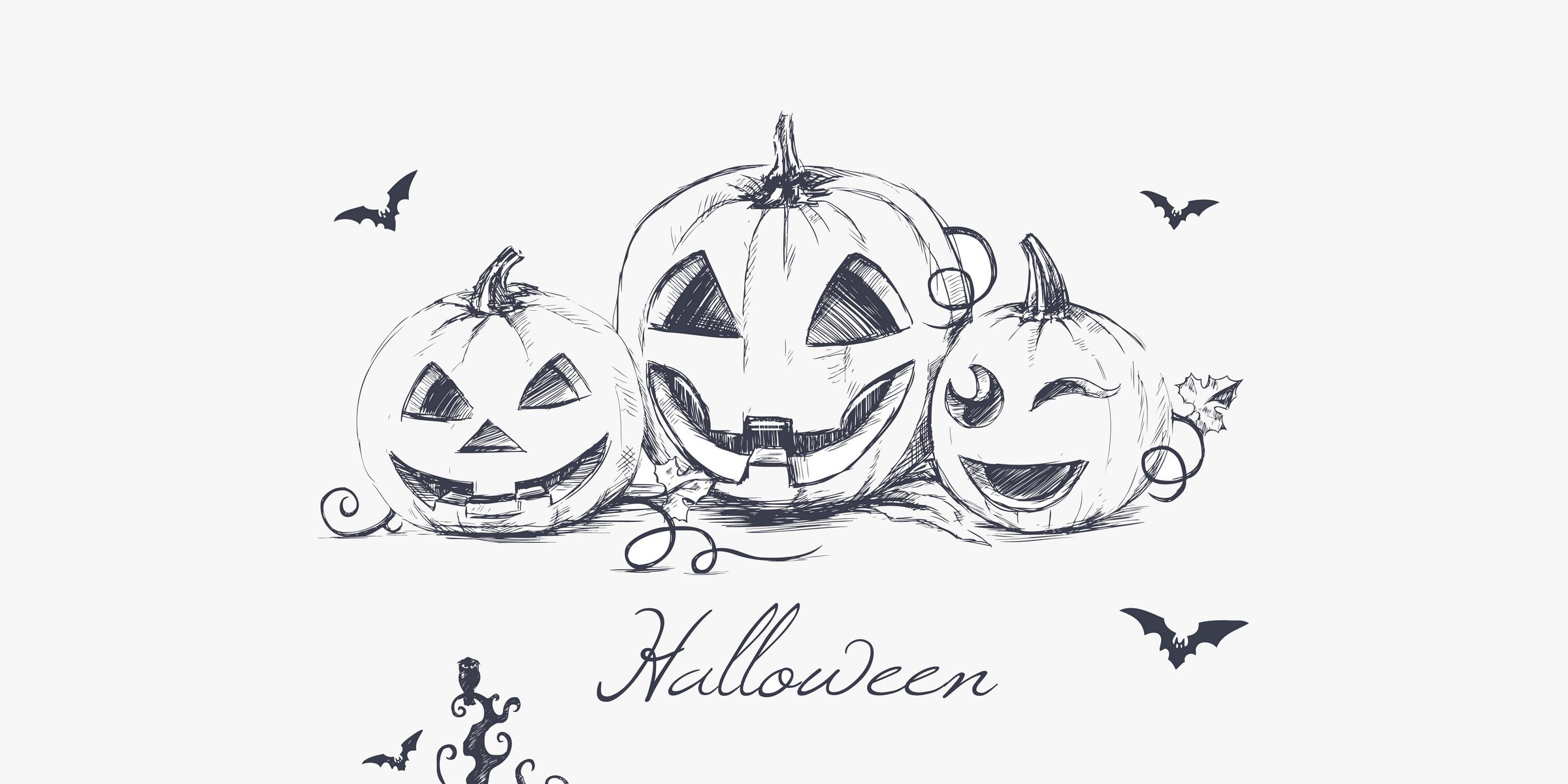 halloween evil pumpkins minimalism hand drawing bats creepy owl evil pumpkin