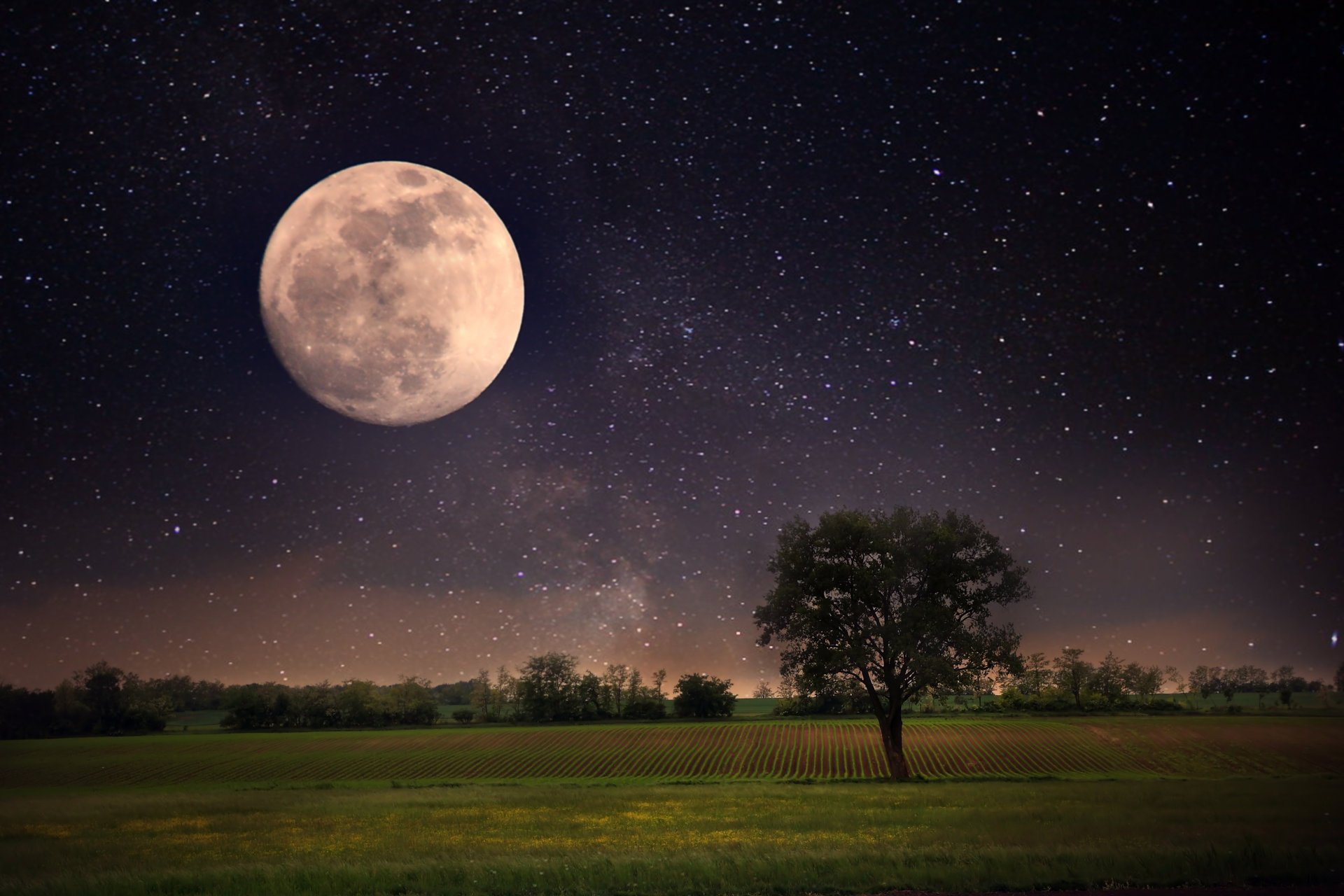 moon night landscape stars full moon sky beautiful scene nature lonely tree star beautiful scenes a lone tree