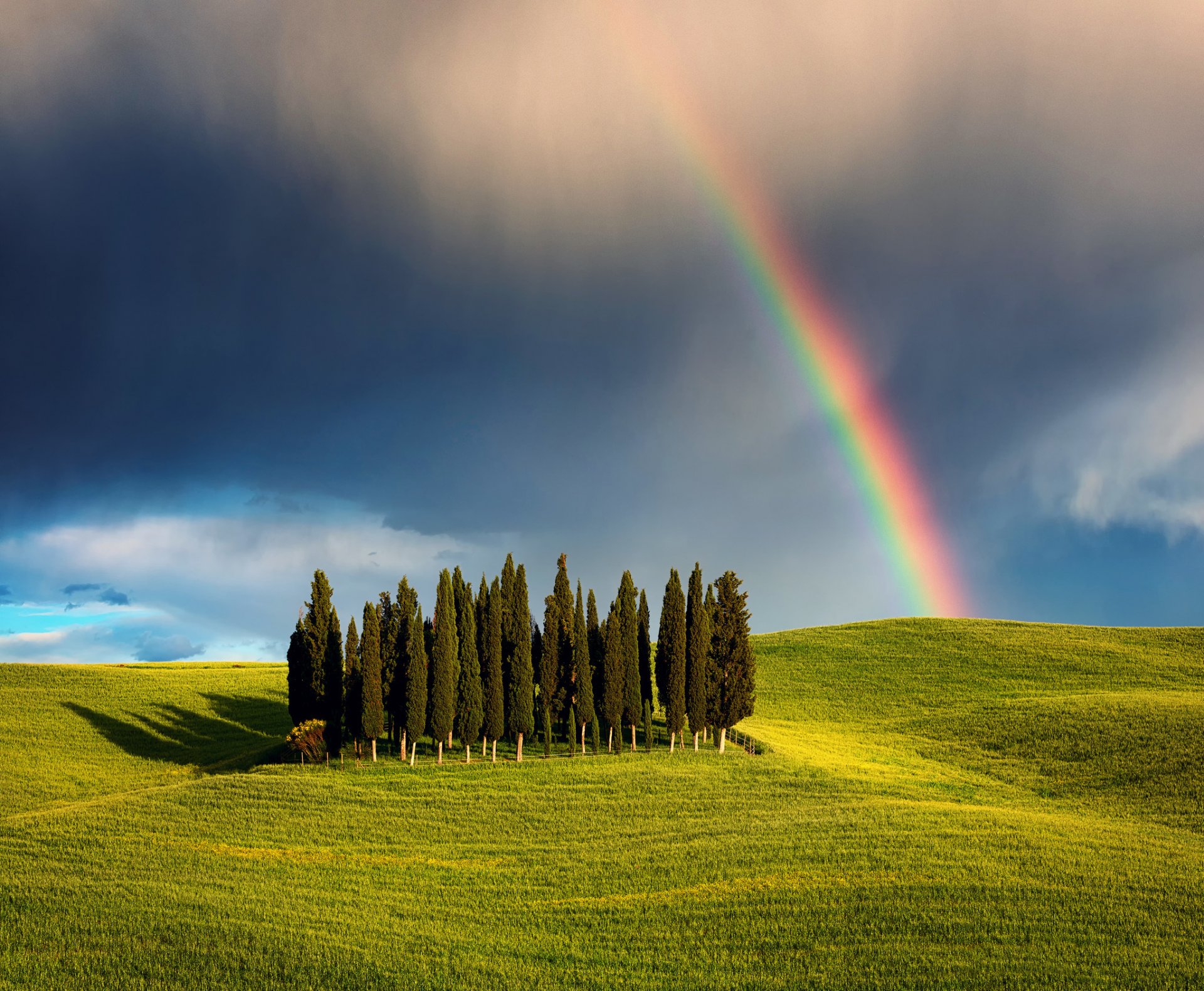 italy tuscany cypress hill grove nature of the field tree sky clouds rainbow spring may