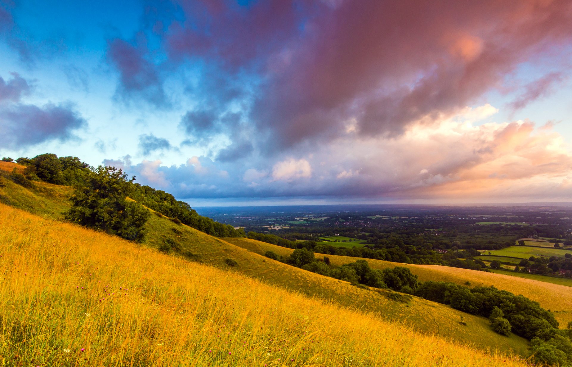 south downs plumpton england great britain united kingdom morning dawn clouds the field grass hills tree landscape nature