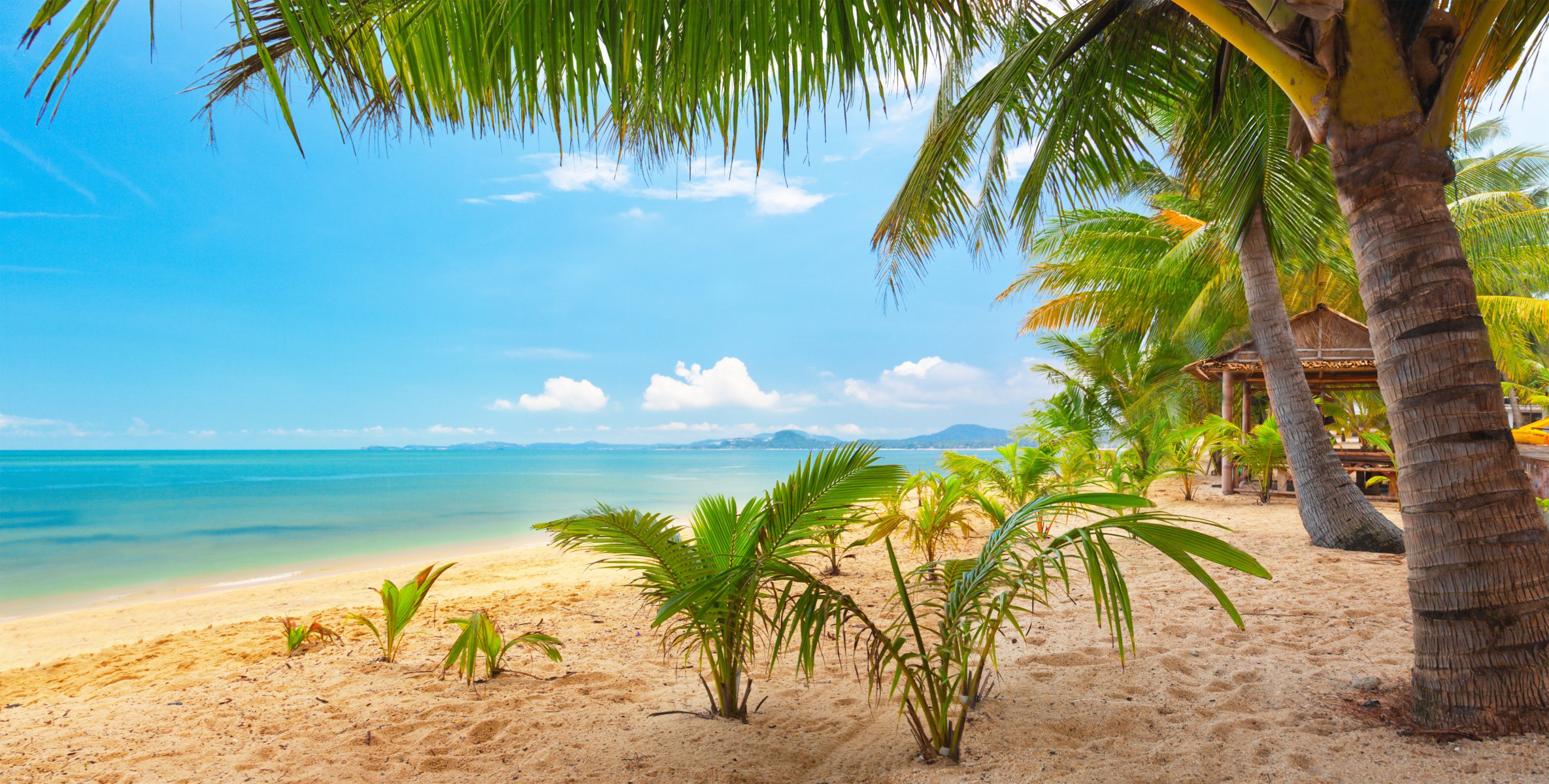 beautiful palm trees nature landscape sea tropical sand sky clouds tropical beach koh samui thailand maenam beach palm rain the tropical beach samui maenam