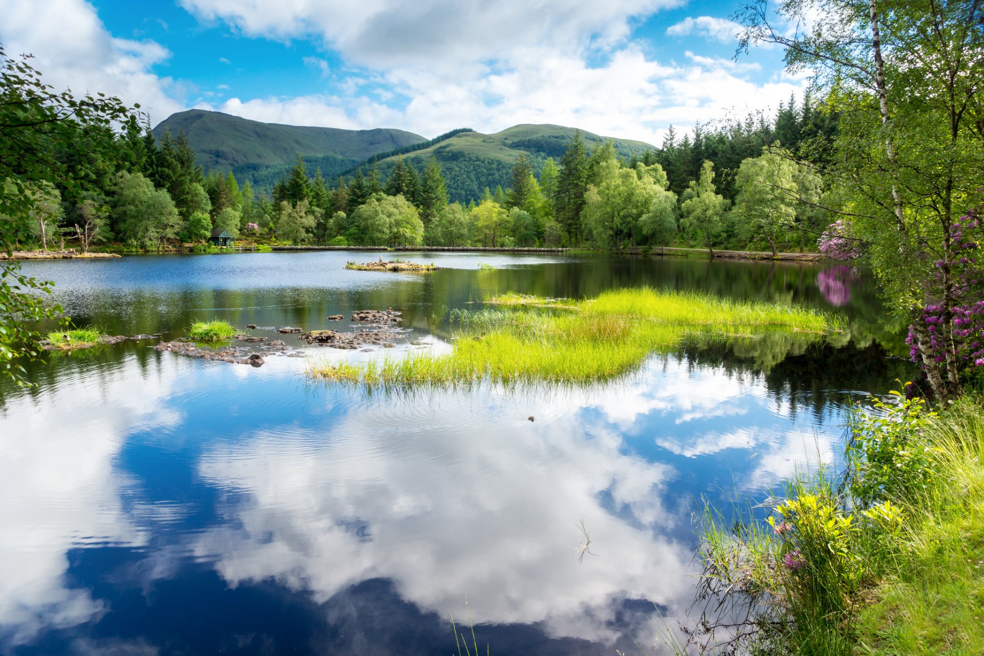 scotland great britain united kingdom landscape tree green mountain forest lake sky clouds water reflection