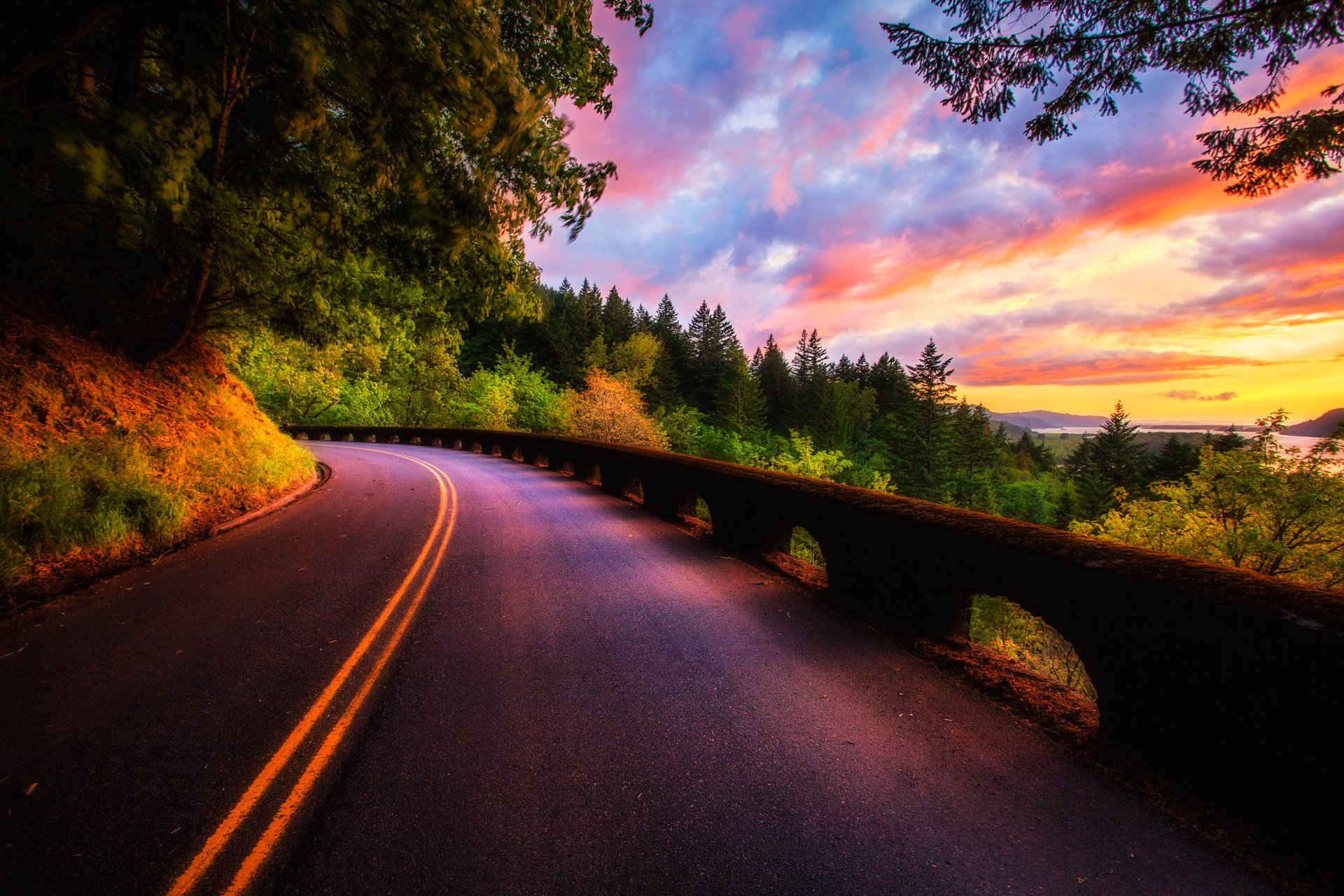 nature road sky clouds sunset forest trees view colors landscape scenery tree views flowers
