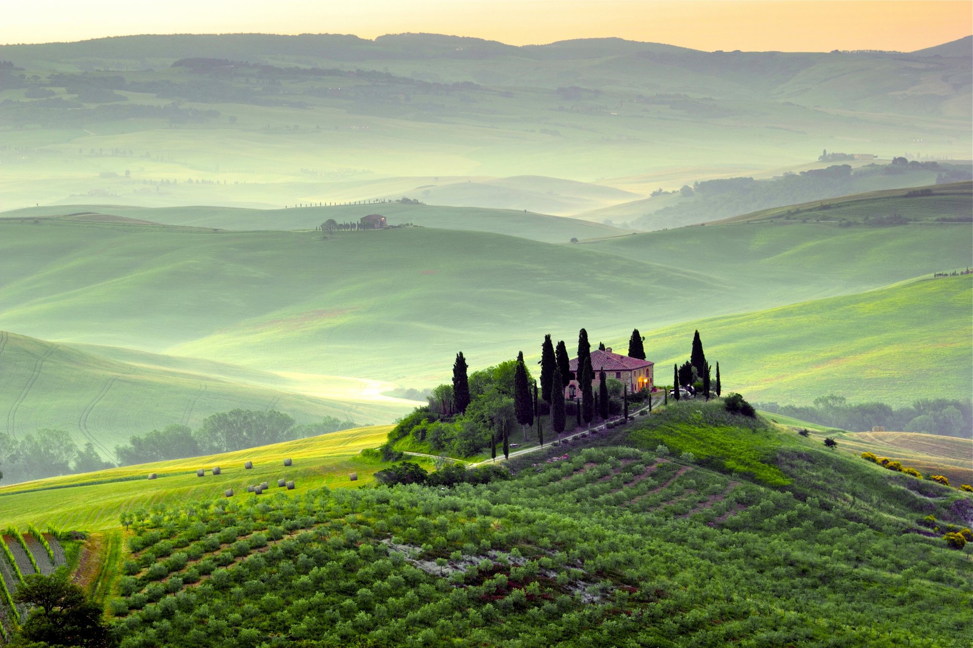 pienza toscana tuscany italy landscape nature tree green of the field hills morning dawn fog