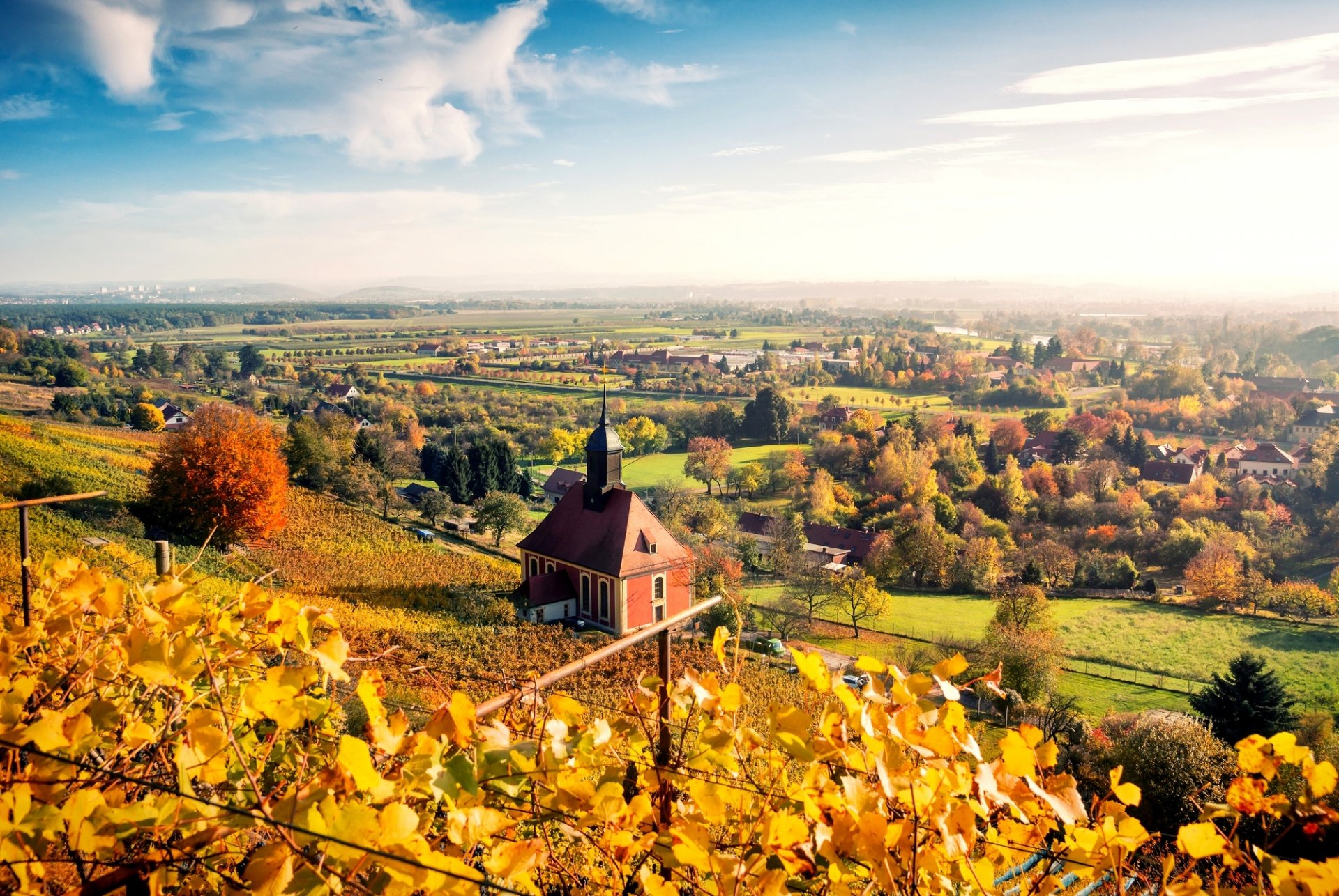 dresden deutschland germany town autumn nature landscape sky clouds house tree leaves yellow panorama