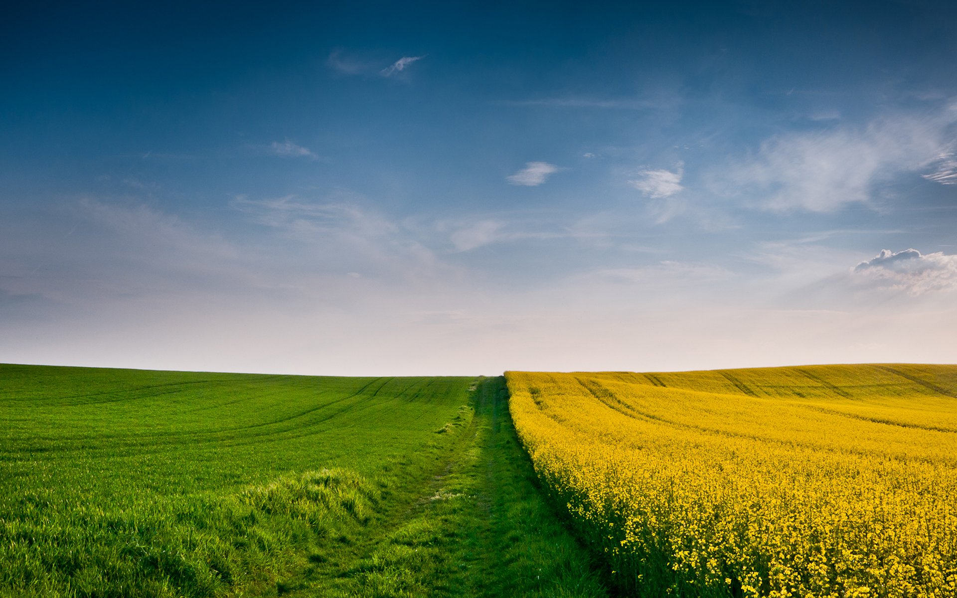 autumn autumn wallpaper the field of the field wheat ears spikes spike grass yellow green sky wind cloud clouds fields wallpapers