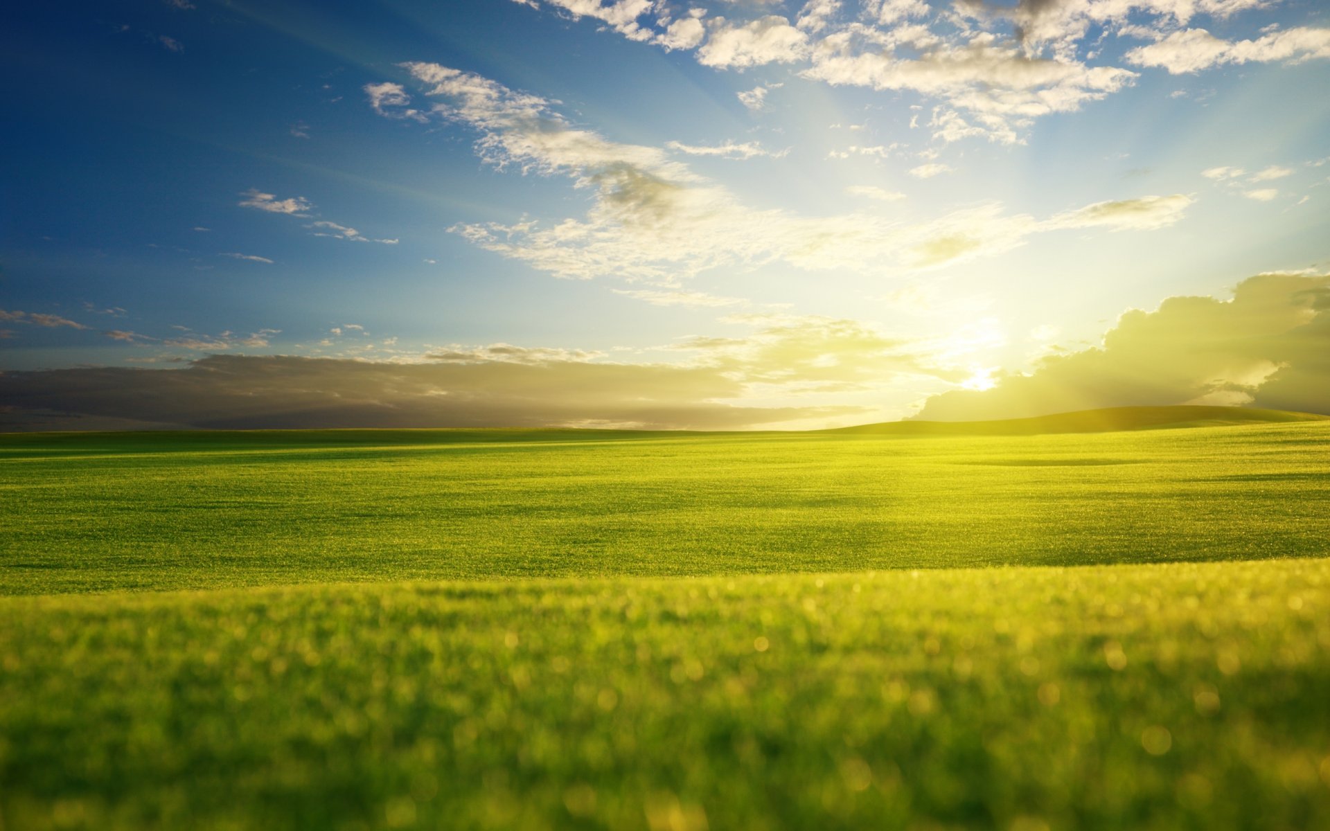 landscape nature views the field of the field grass travichka green grass wallpapers fields horizon hills valley sky cloud clouds sun rays light night sunset widescreen desktop wallpapers table green