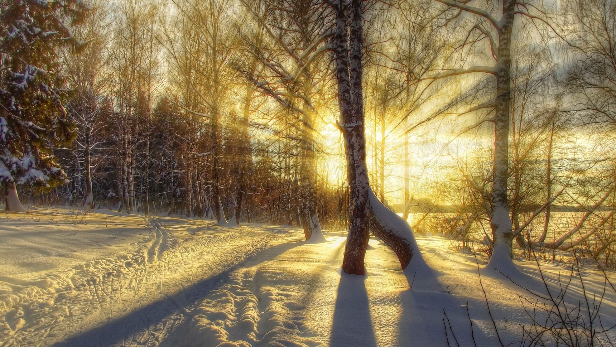 nature winter snow road tree forest sky landscape white beautiful cool nice sunset path trees