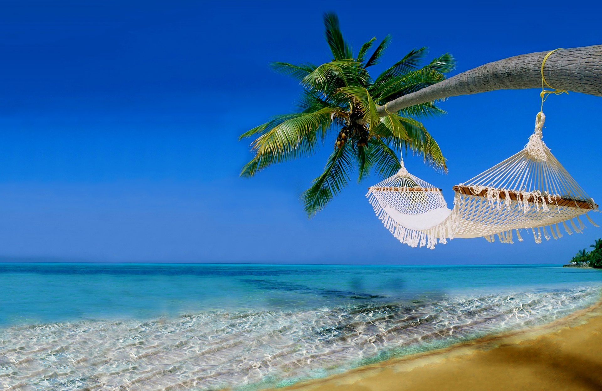 hammock sky sports palm landscape nature beach sea ocean water sand ammock vacation palm trees