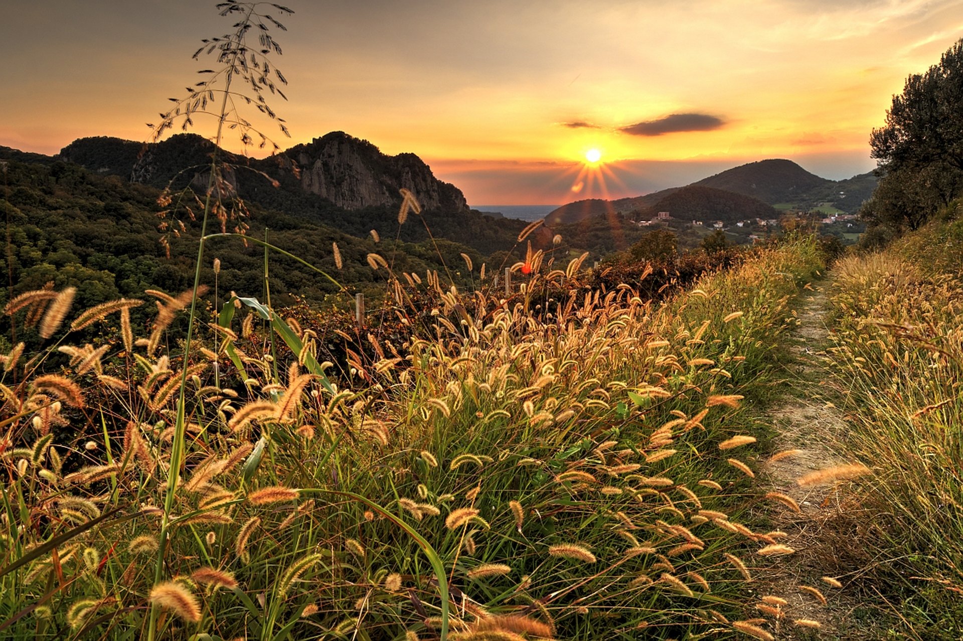 nature sunset mountains sky clouds forest park trees leaves colorful road path colors walk autumn tree mountain grass