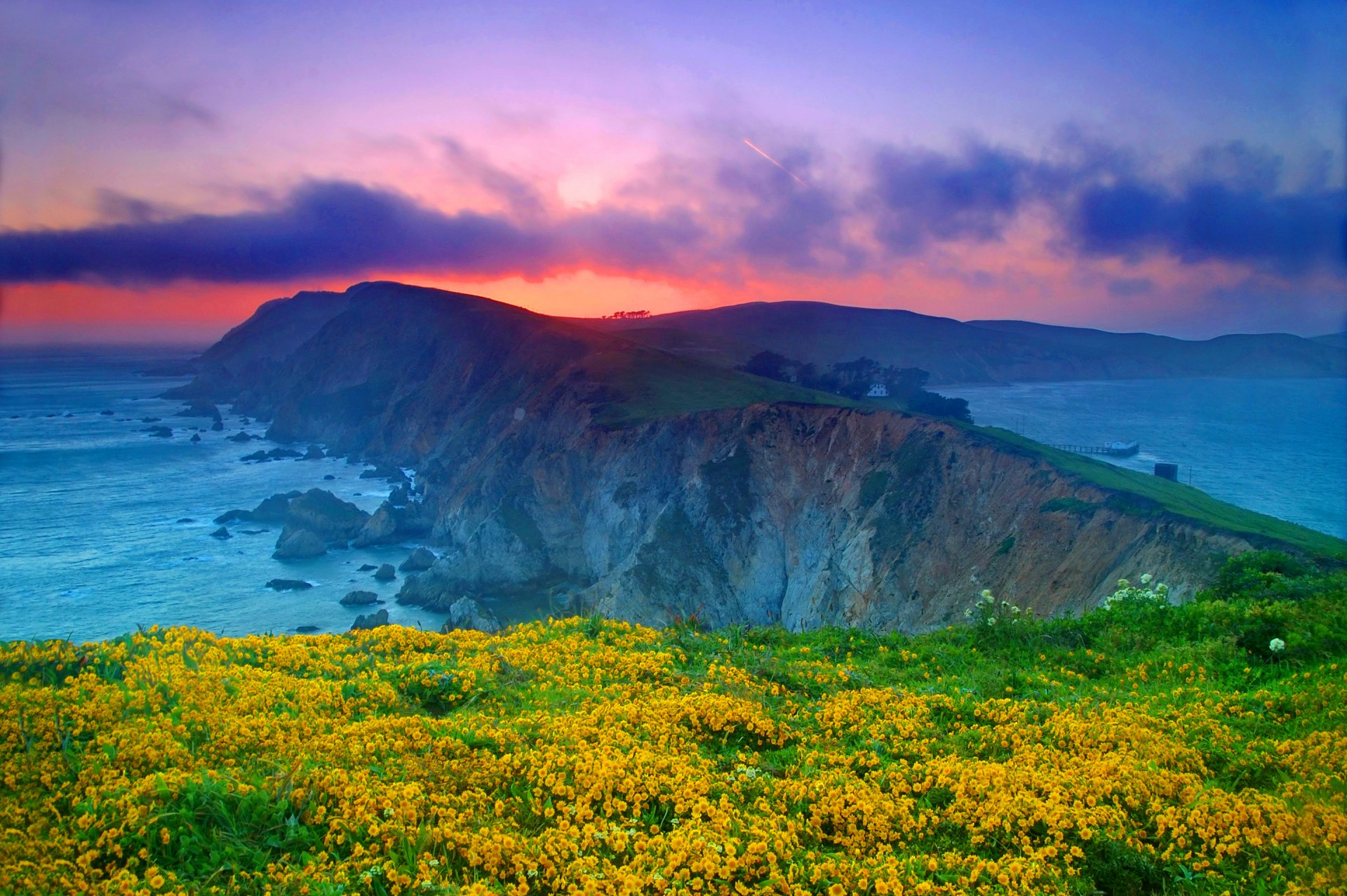 point reyes national seashore marin county california usa united states sky clouds sunset rock sea ocean flower