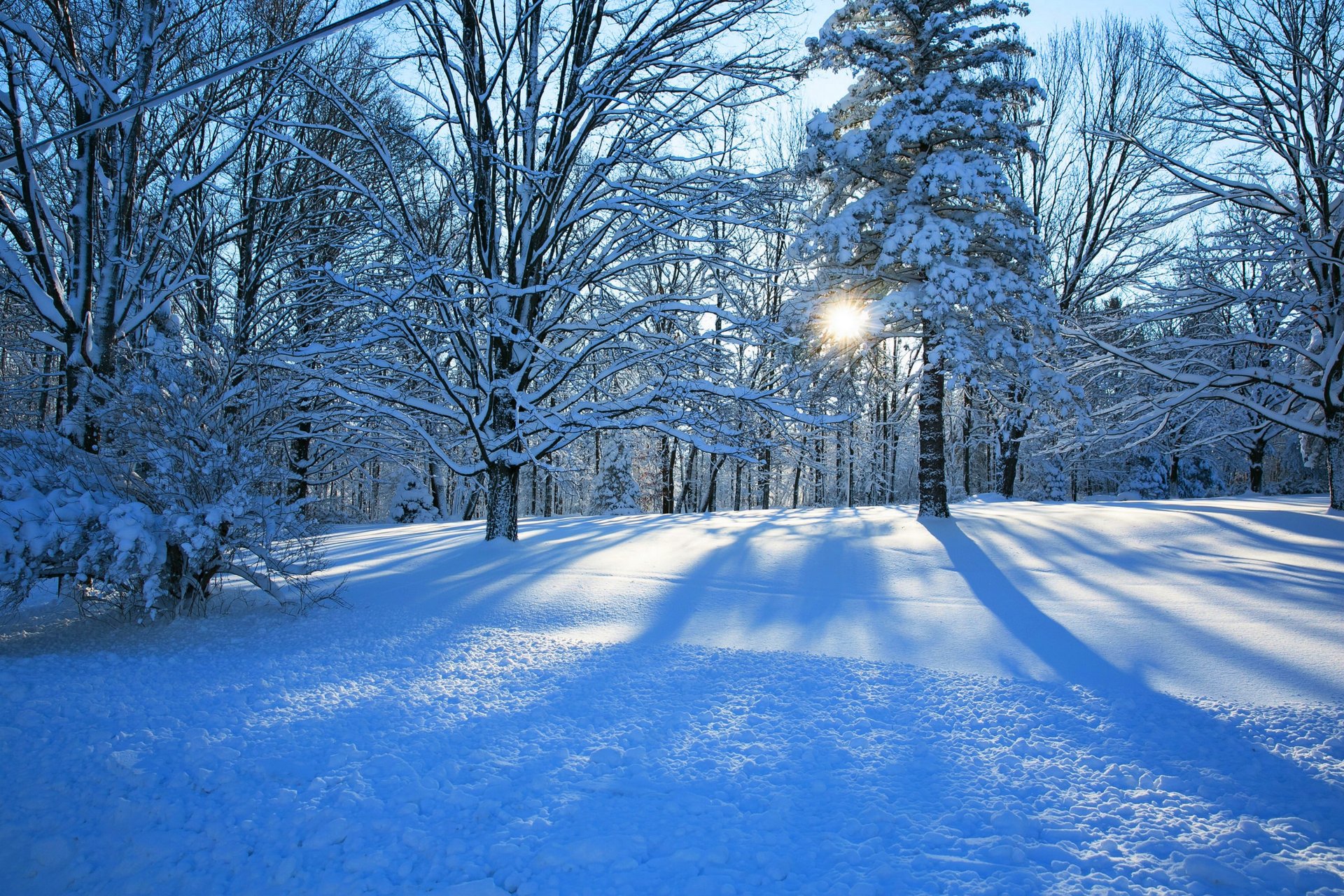 nature winter snow road tree forest sky landscape white beautiful cool nice sunset path trees