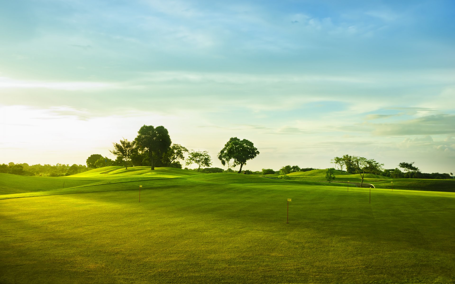 golf course landscape nature sports grass hills tree sky clouds flags flag green grass green field widescreen wallpapers 2560x1600 golf sport wallpapers
