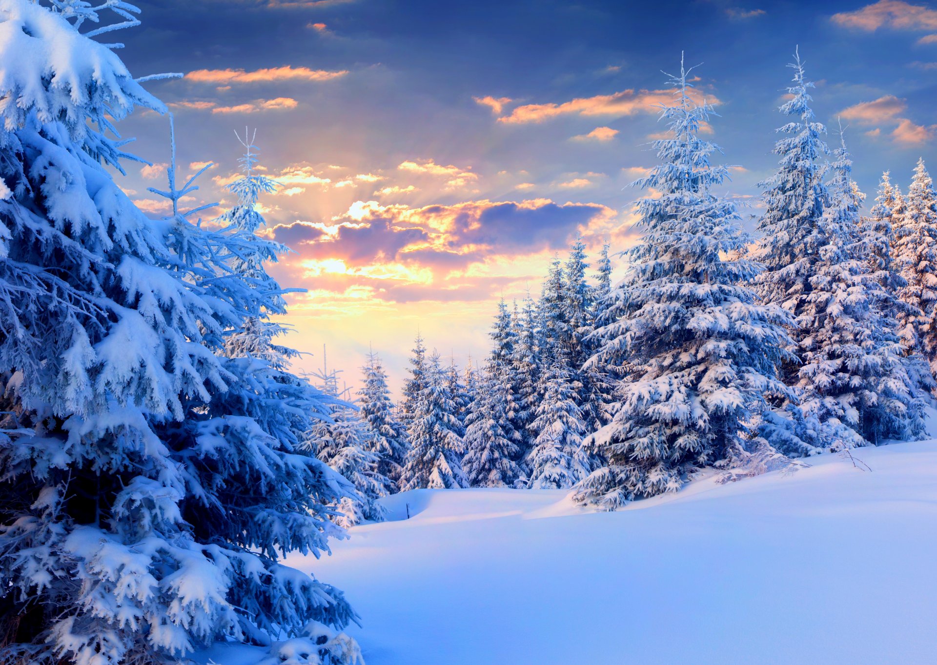 nature winter snow sky landscape white sunset