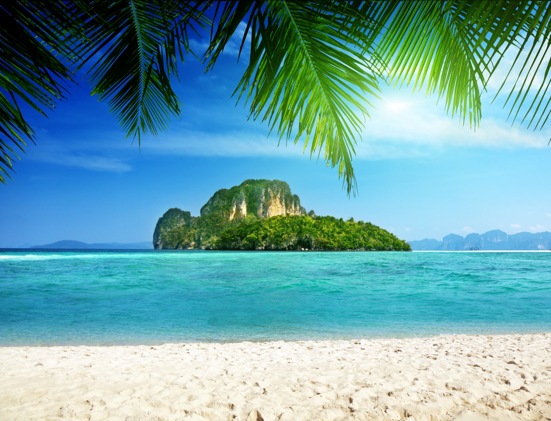 tropics palma sea coast island rock tropical palm trees the sea the coast the island rocks
