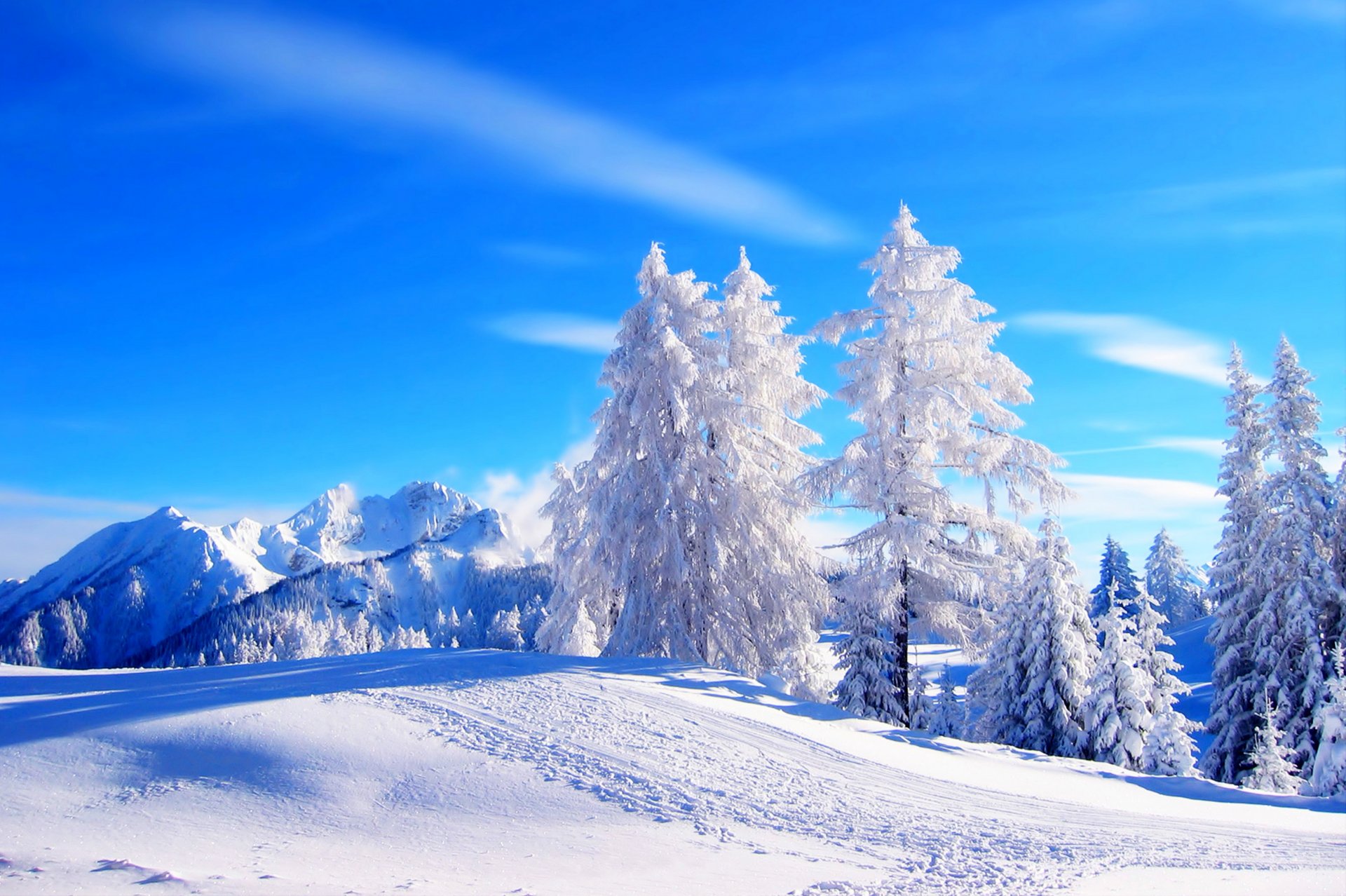 nature mountain winter snow road tree forest sky landscape white beautiful cool nice sunset path trees mountains