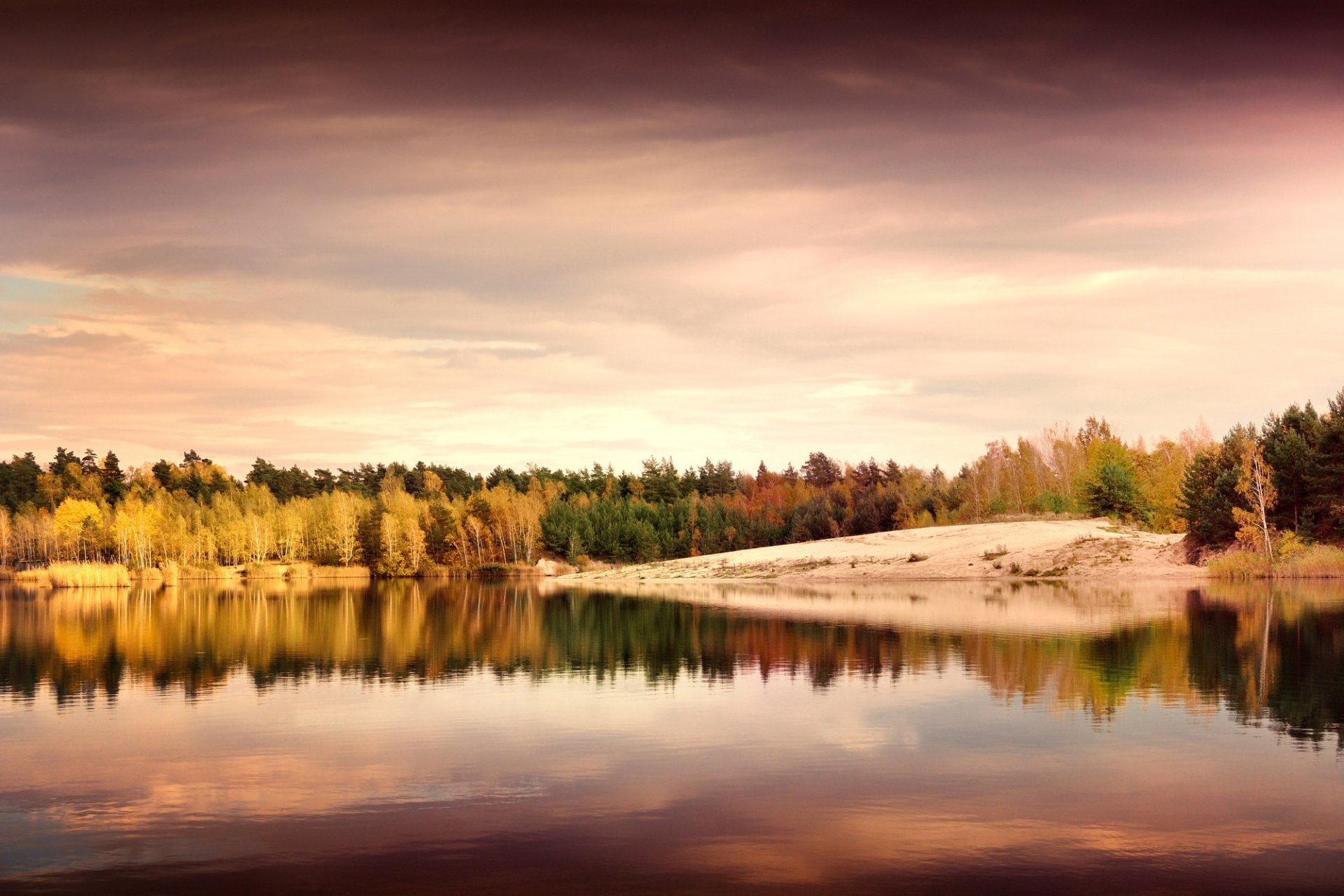 erzgebirgskreis deutschland erzgebirge germany autumn nature landscape night beach lake reflection tree leaves yellow green