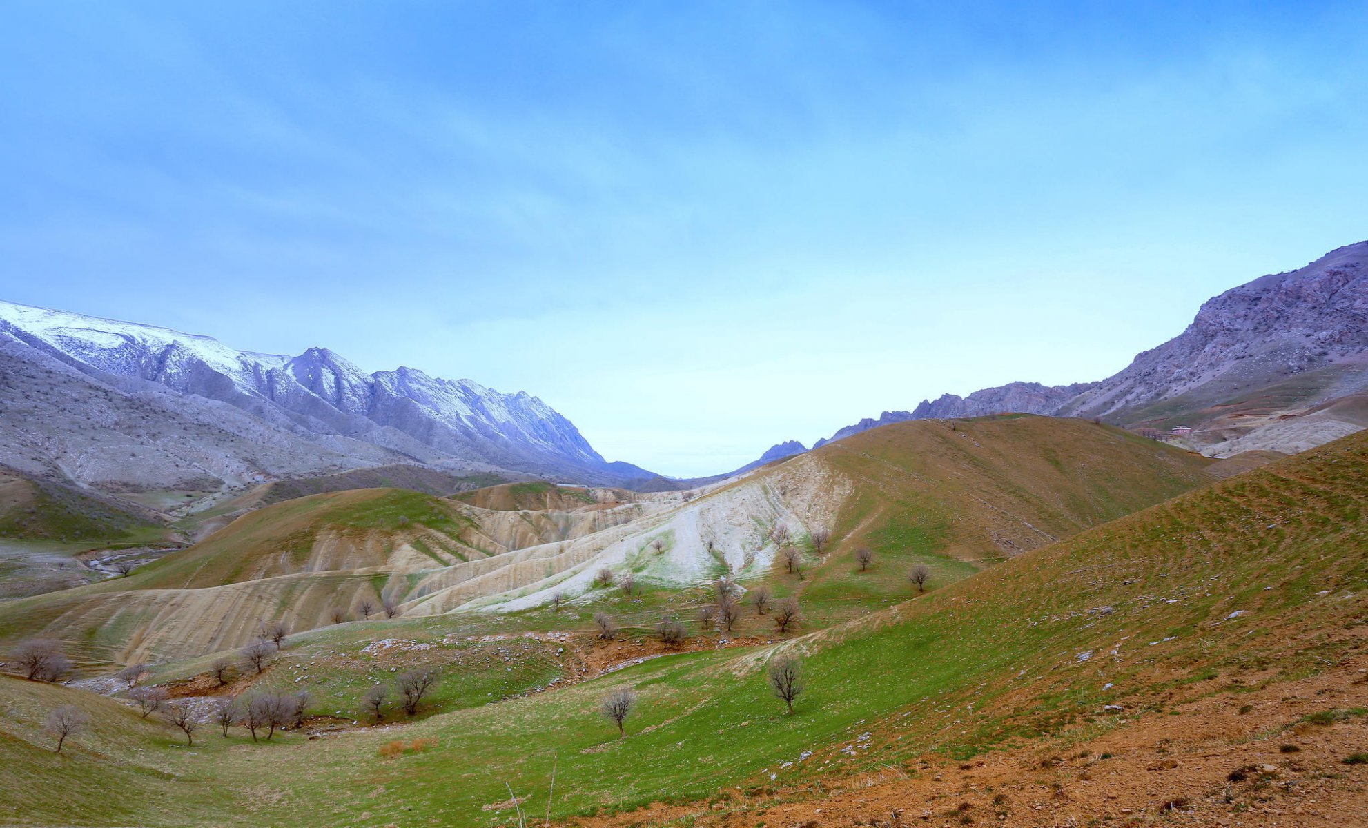 mountain hills spring