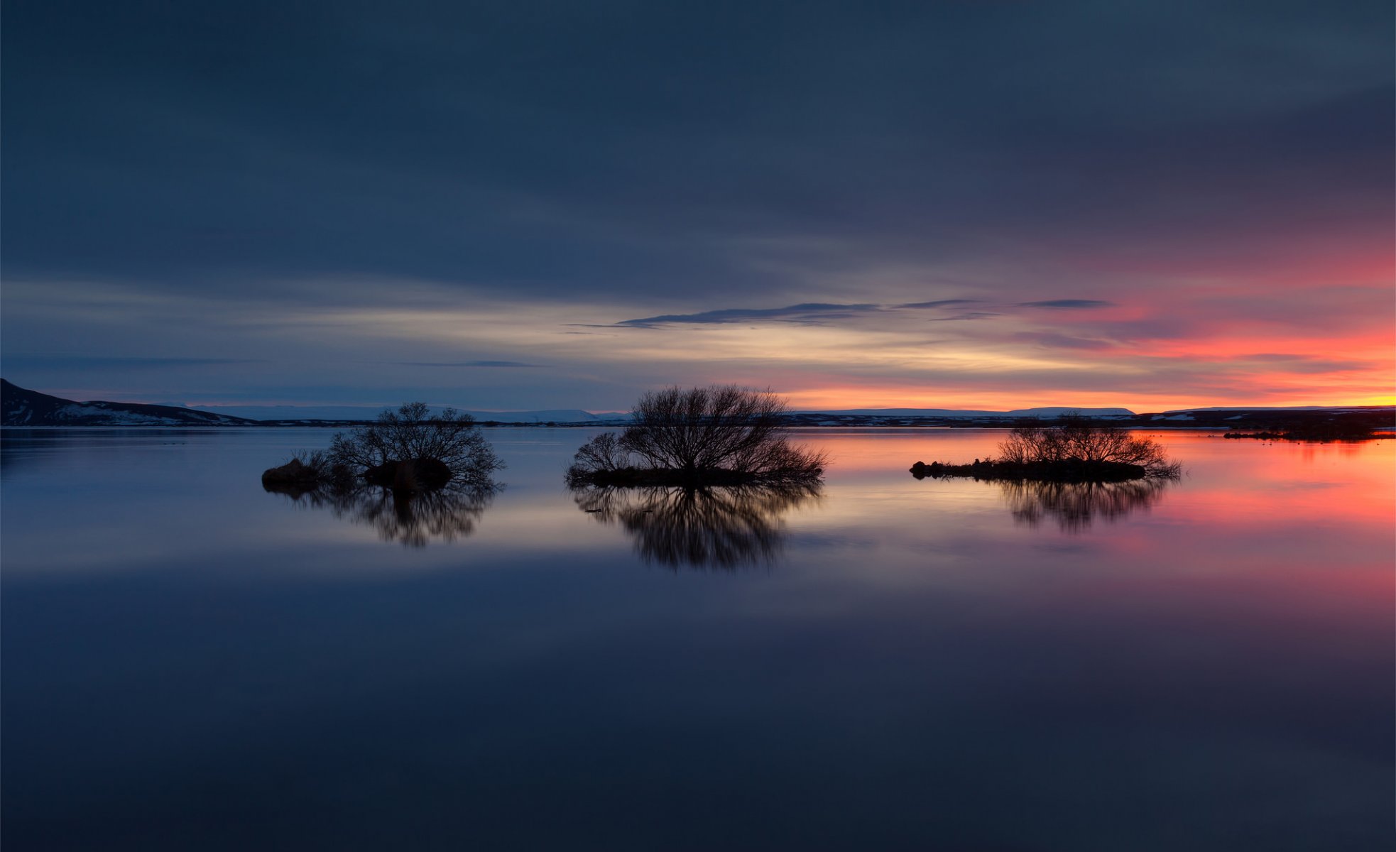 night lake sky tree reflection