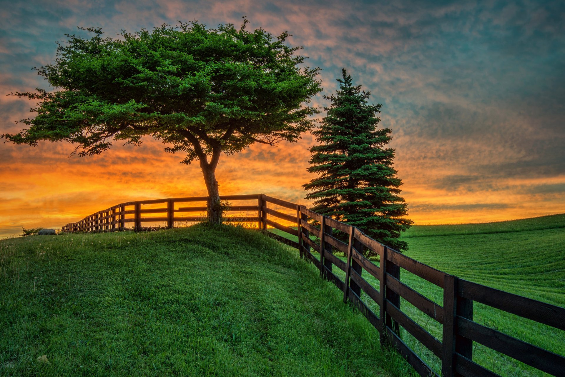 sunset the field tree fence landscape summer