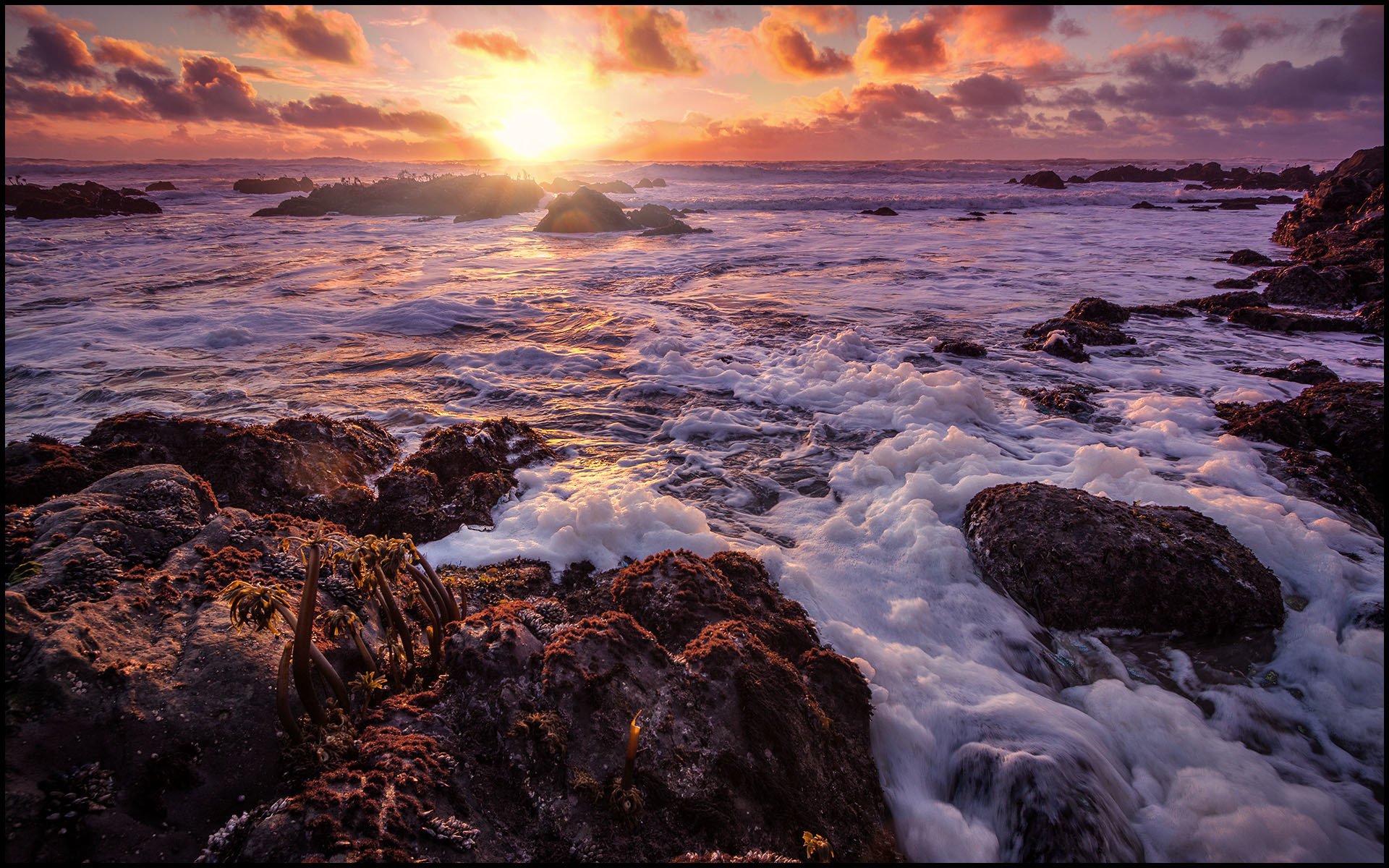 sea beach stones waves foam sun clouds sunset