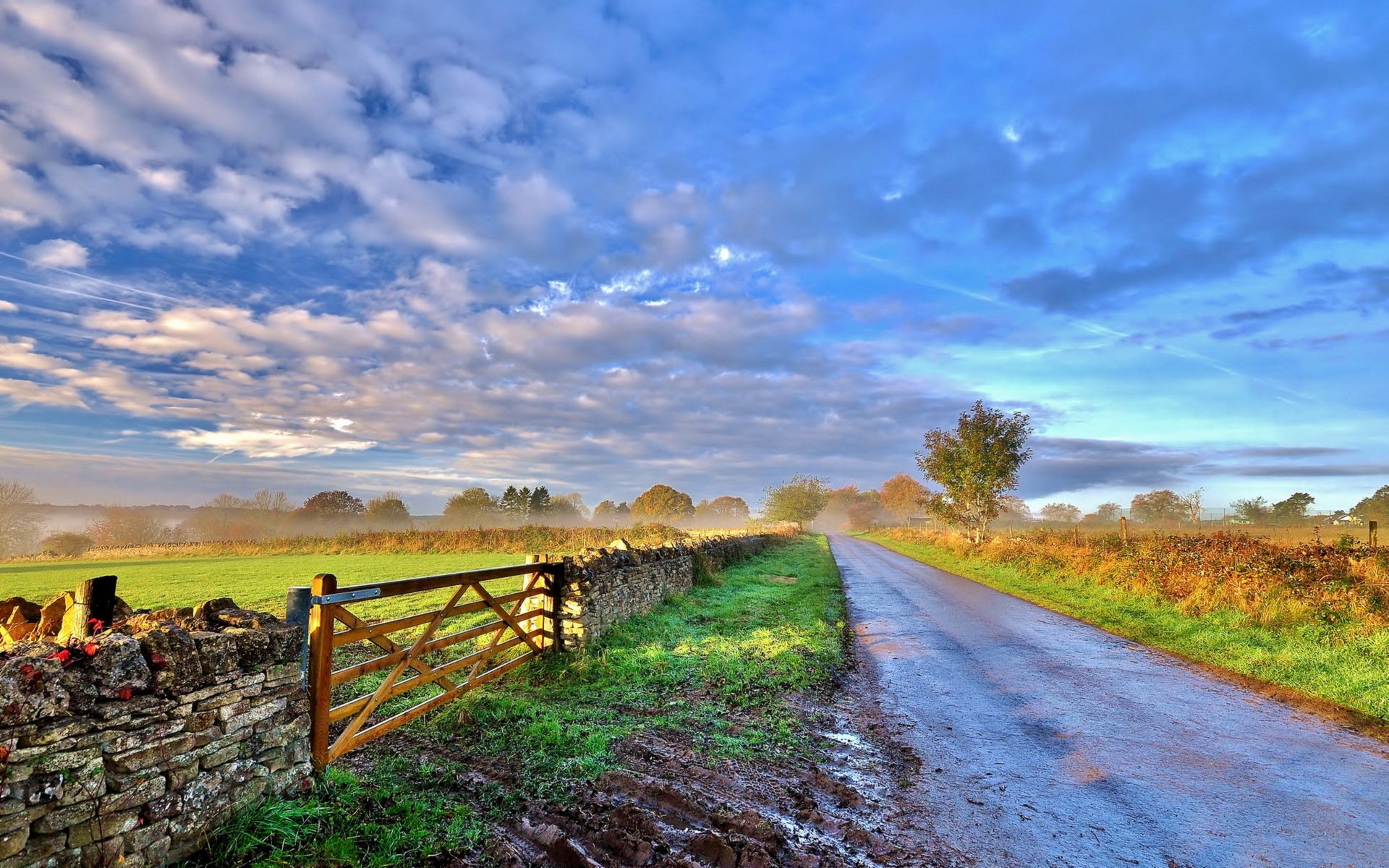 morning road fence landscape