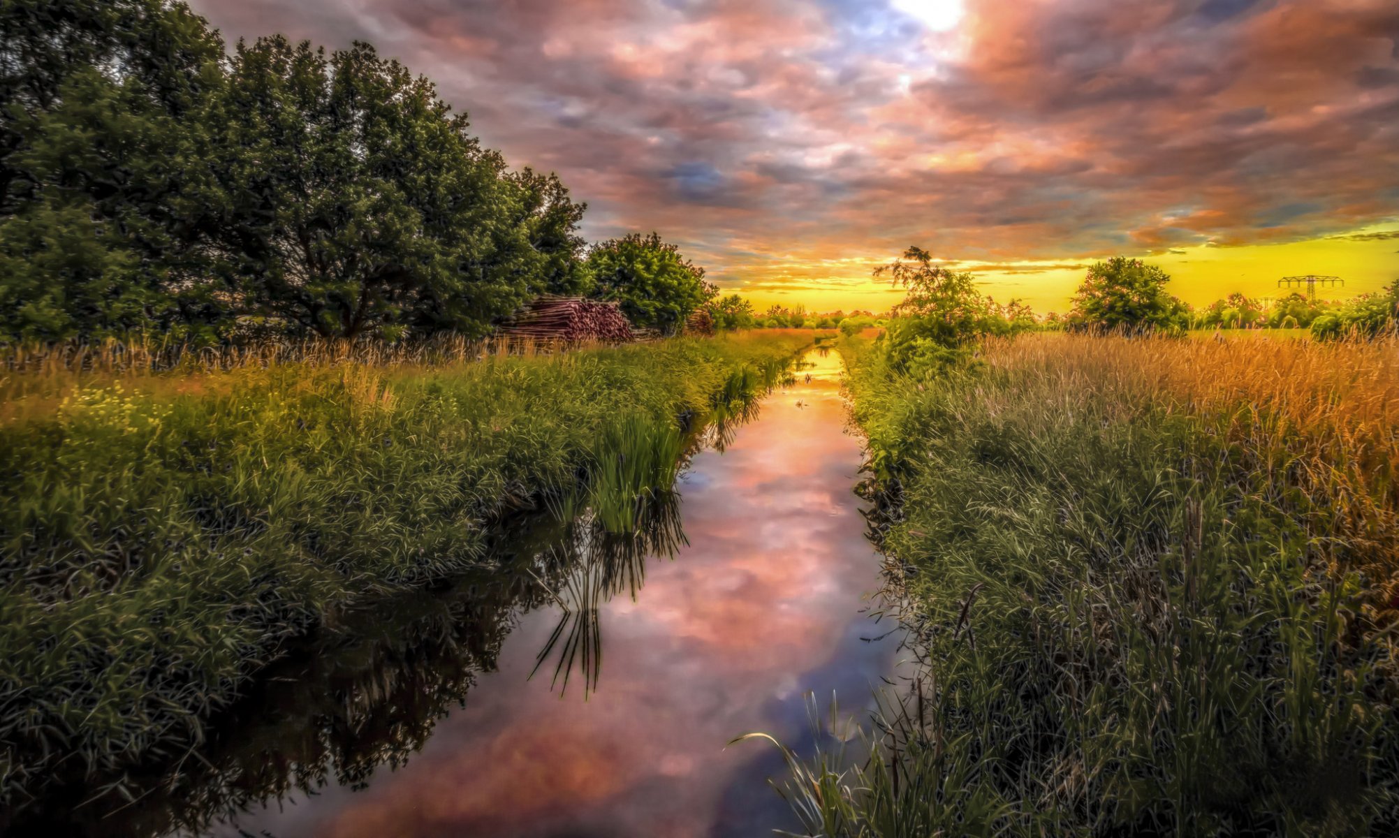 germany nature river grass green tree the field summer sunset clouds reflection landscape