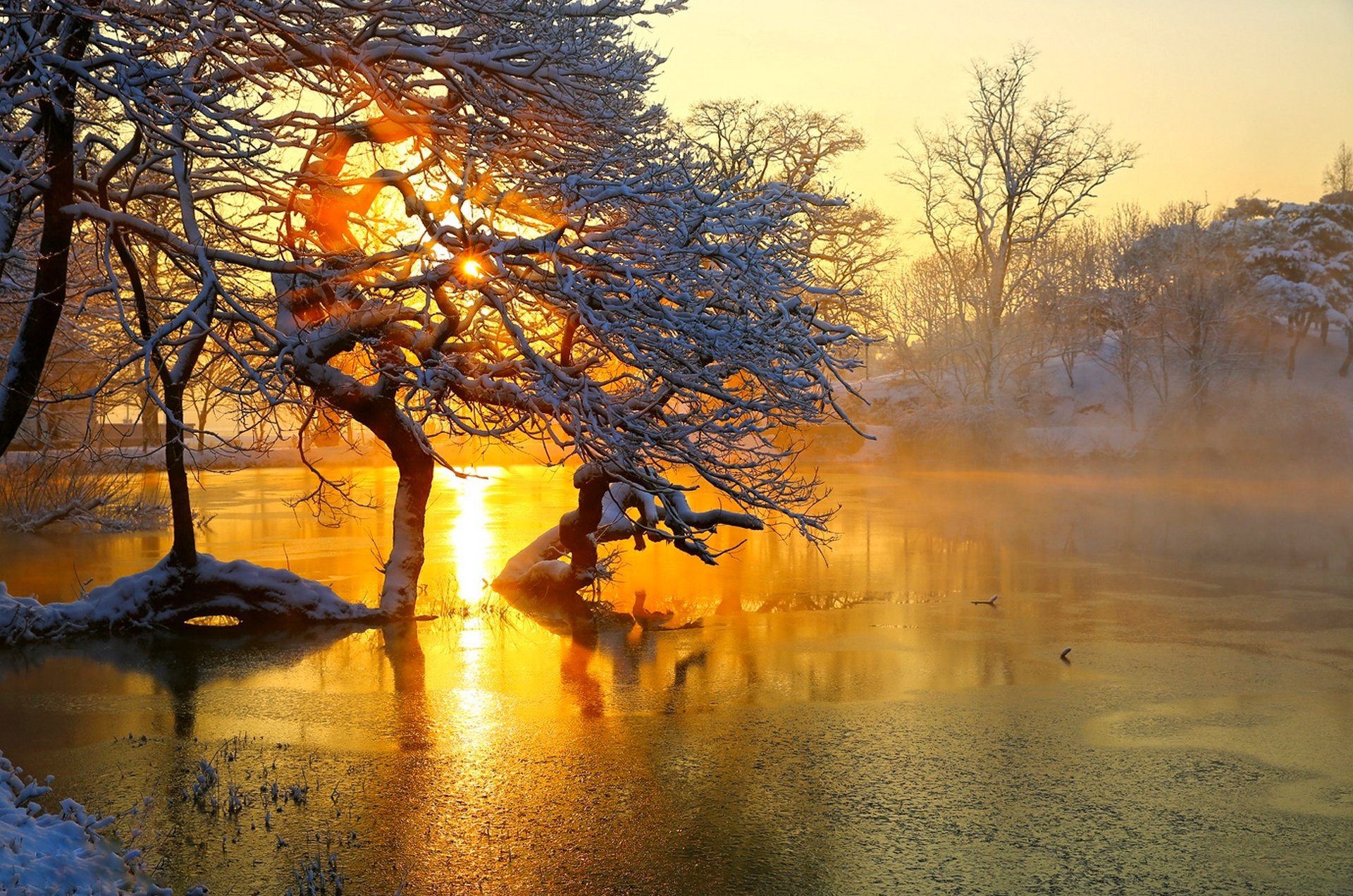 nature hdr landscape scenery season winter view colors snow ice clouds sky sunset tree trees river views flowers next reka