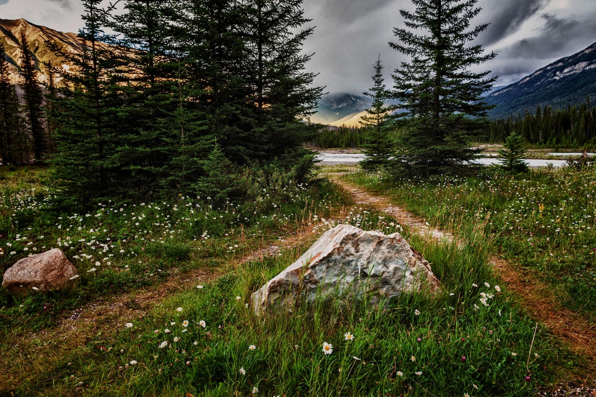 nature mountain flower landscape grass tree sky clouds scenery view forest mountains trees flowers